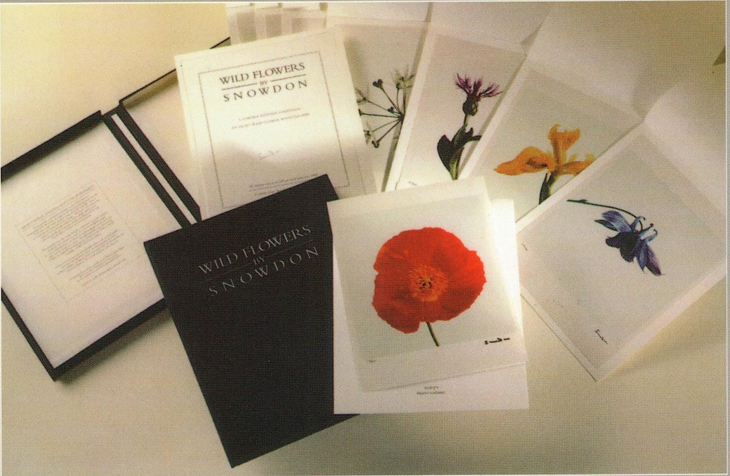 Flores silvestres, Fotografía de edición limitada, 1er Conde de Snowdon, fotografía firmada