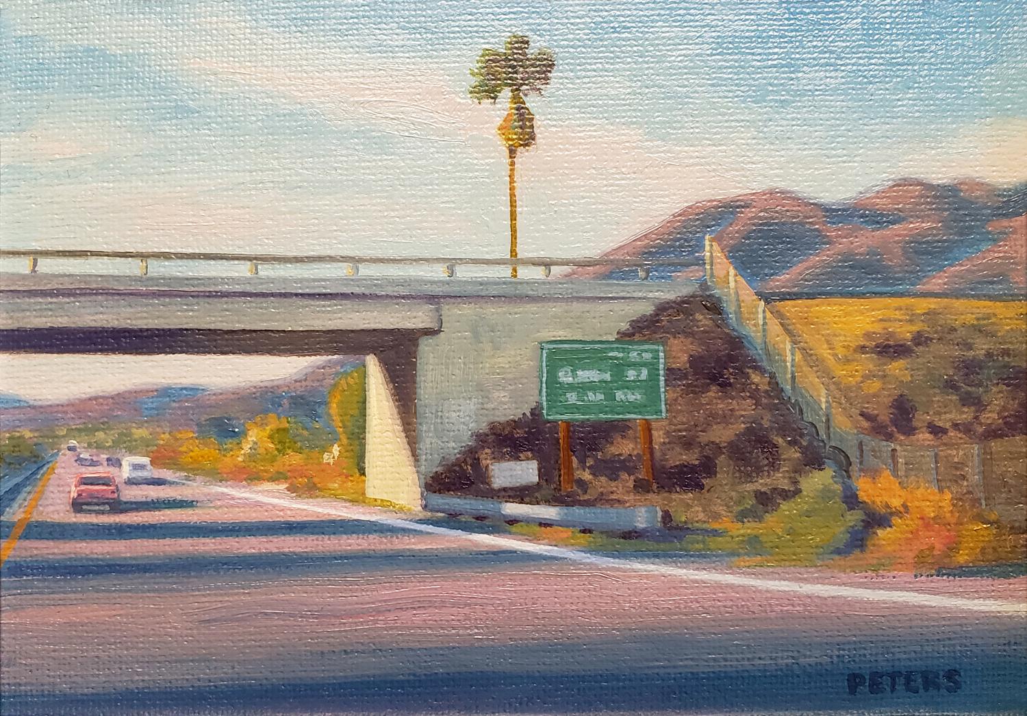 Palm ( palmier de Freeway) - Painting de Tony Peters