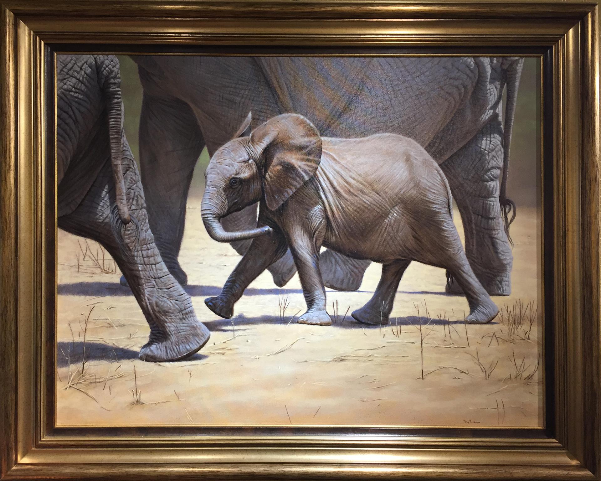 In his Mother's Footsteps - Painting by Tony Pridham