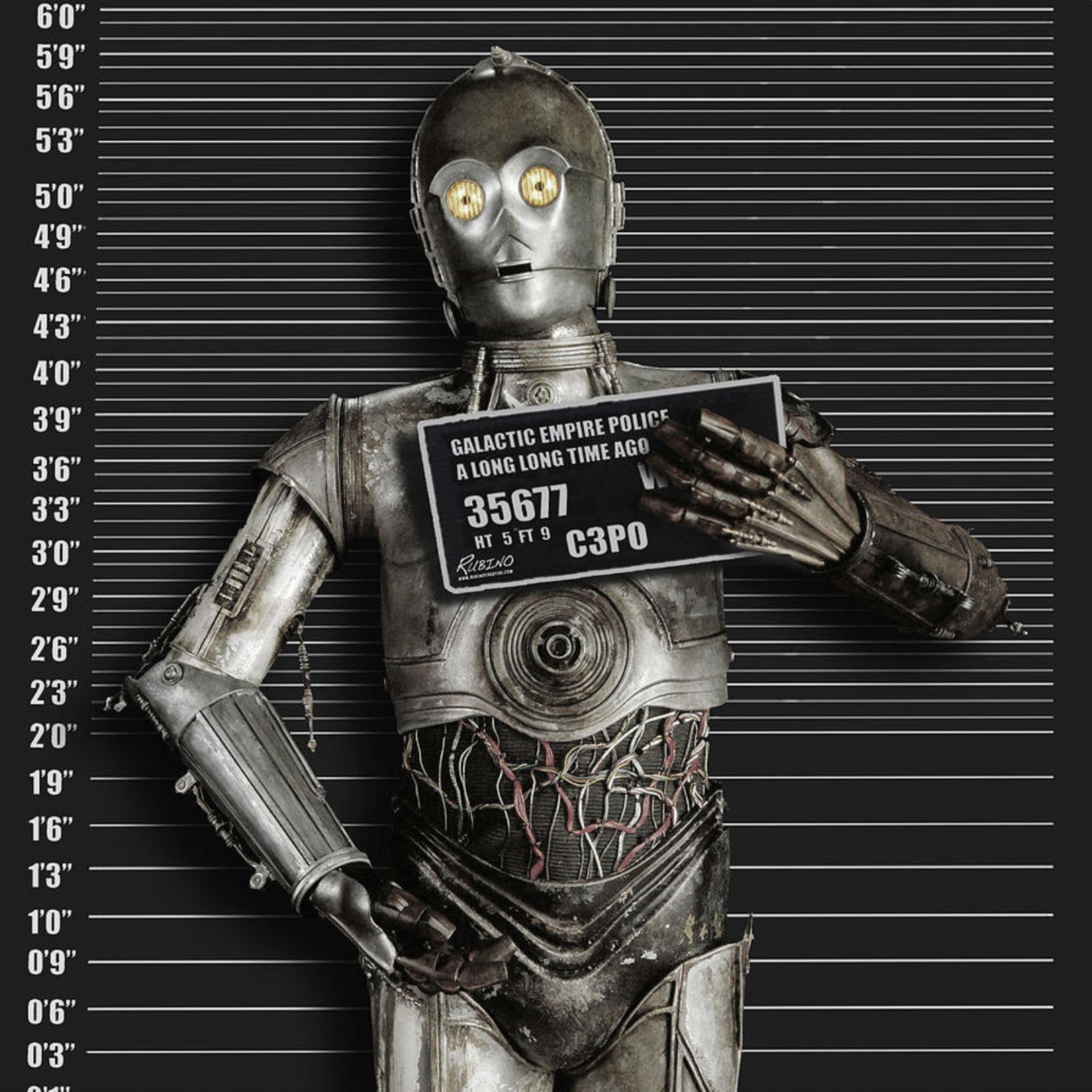 Foto segnaletica di C-3PO, tecnica mista su tela - Mixed Media Art di Tony Rubino