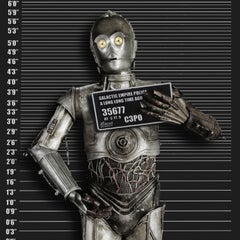 C-3PO Mug Shot, Mixed Media auf Leinwand