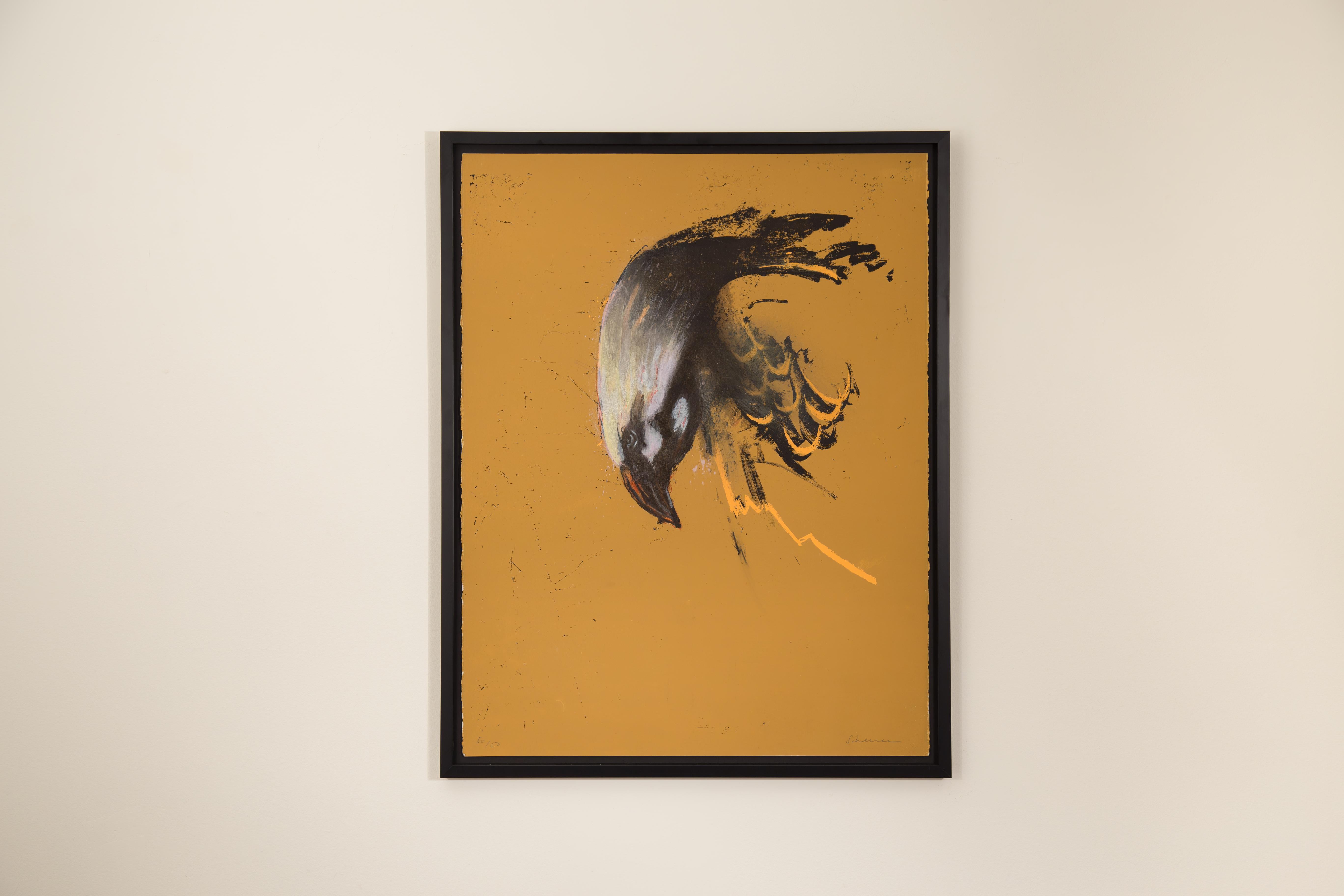 Eagle - Print by Tony Scherman