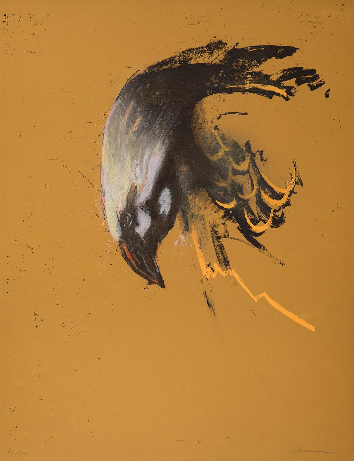 Eagle For Sale 4