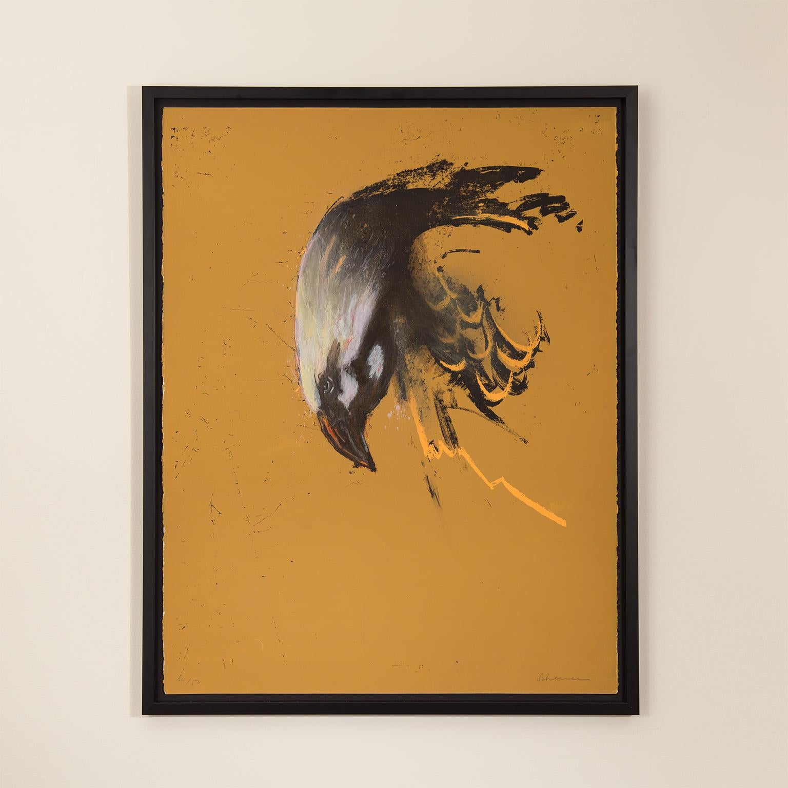 Tony Scherman Animal Print - Eagle