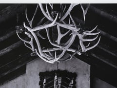 Tony Soluri Original Digital Sheep Print en tailles optionnelles