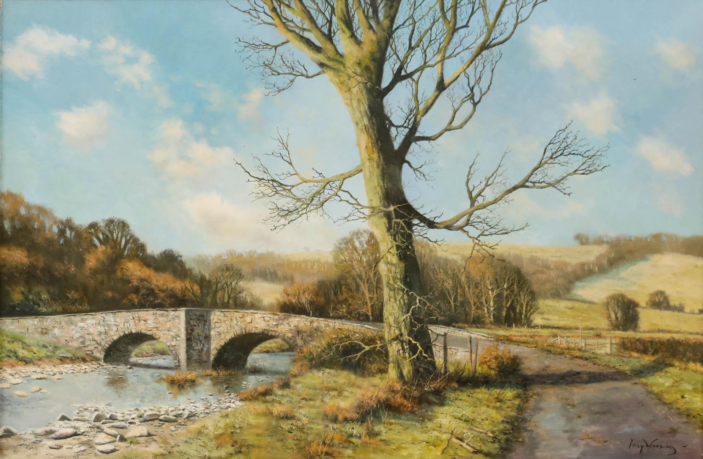 Tony Wooding (geb. 1969)  Ölgemälde des 20. Jahrhunderts, Steinbrücke im Winter im Angebot 1