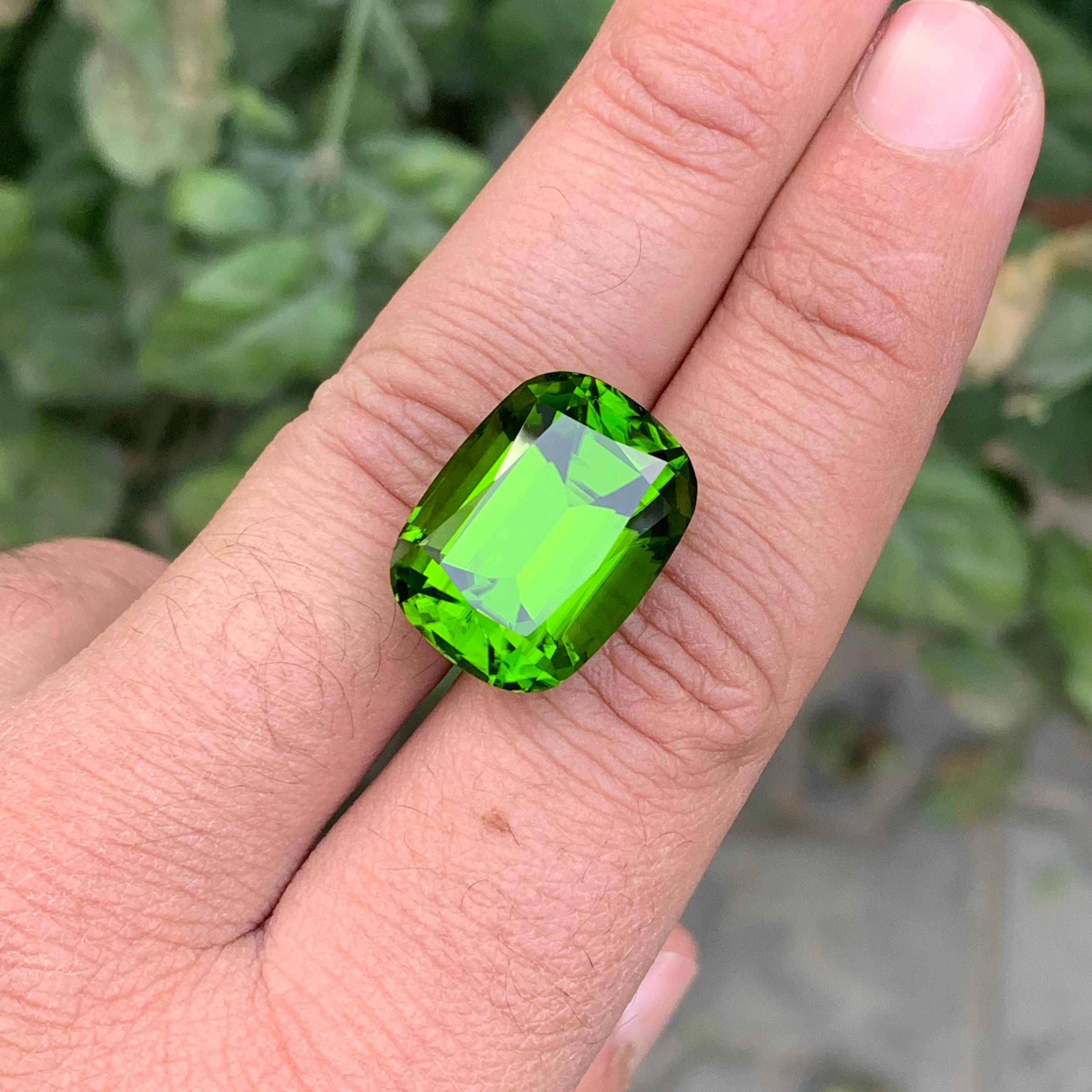 Gema suelta de peridoto natural de calidad AAA de 29,90 quilates Artes y manualidades en venta