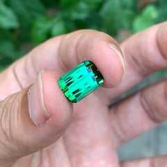 Top AAA qualité naturelle tourmaline verte facettée en forme de coussin de 6,70 carats