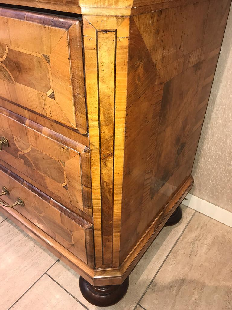 Top Cabinet in Walnut and Other Woods, Germany For Sale 5