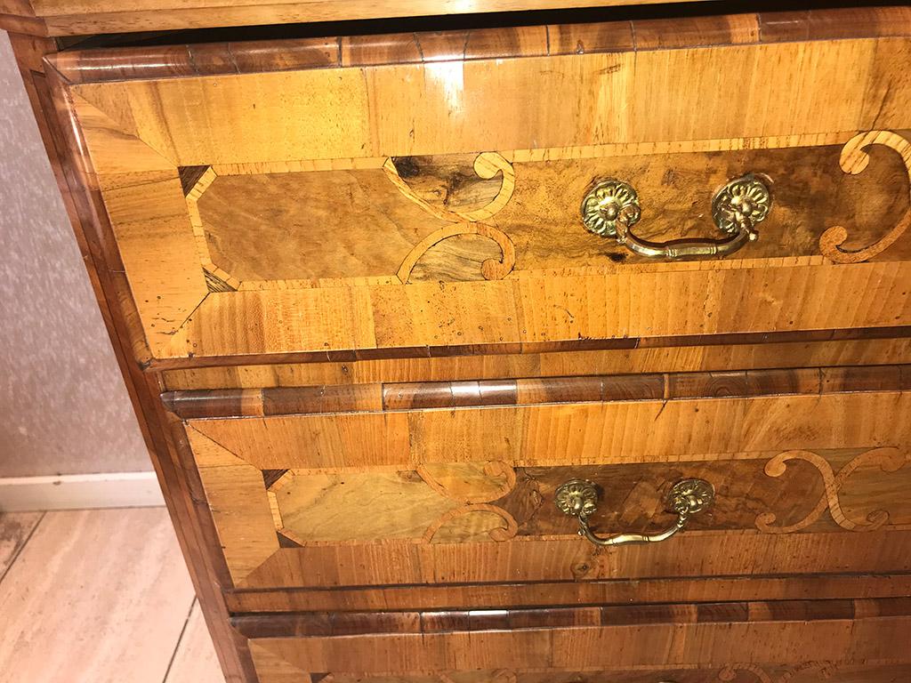 Top Cabinet in Walnut and Other Woods, Germany For Sale 6
