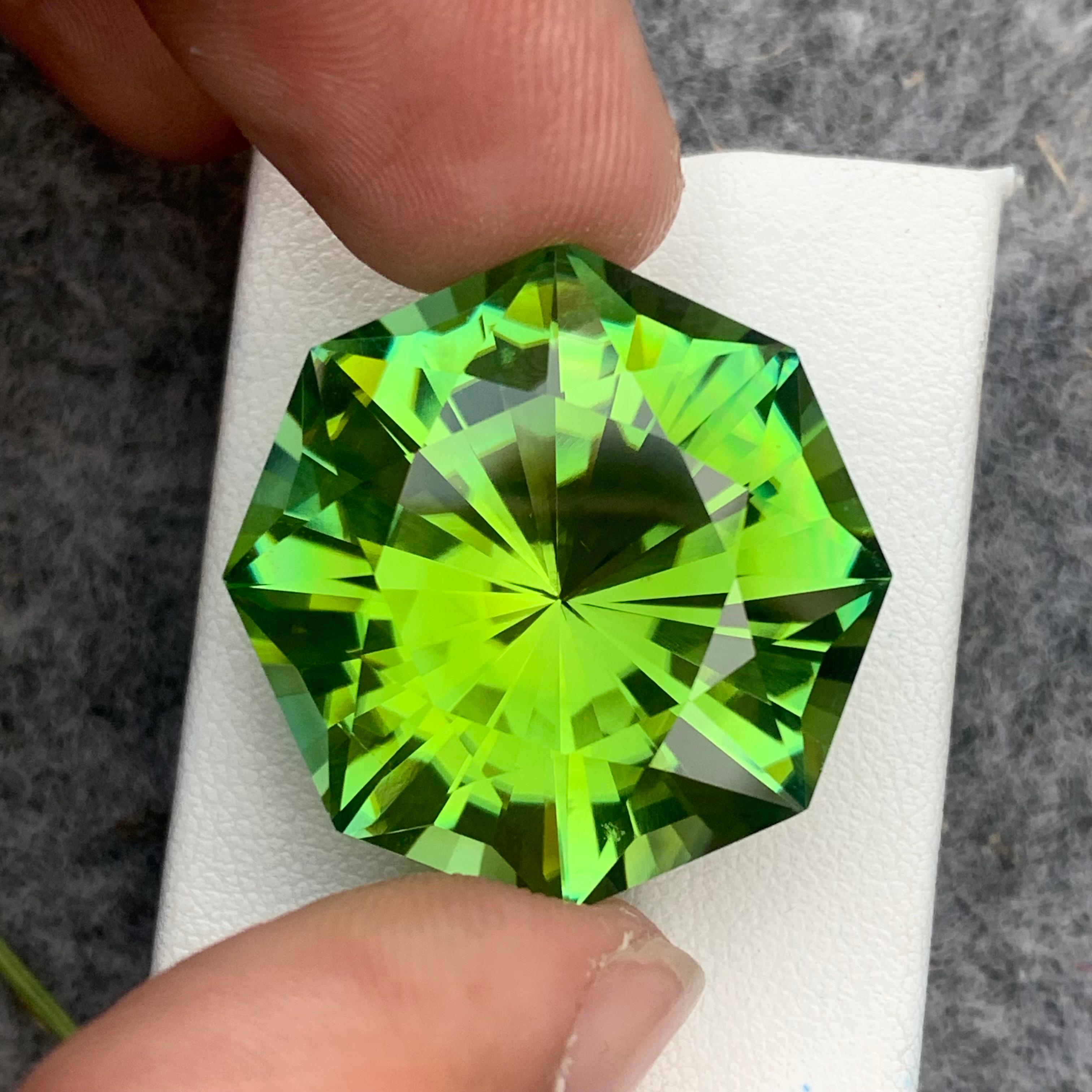 Top High Quality Natural Loose Tourmaline Fancy Cut 48.35 Carat for Necklace For Sale 5