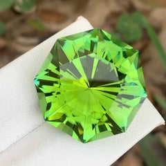 Top High Quality Natural Loose Tourmaline Fancy Cut 48.35 Carat for Necklace