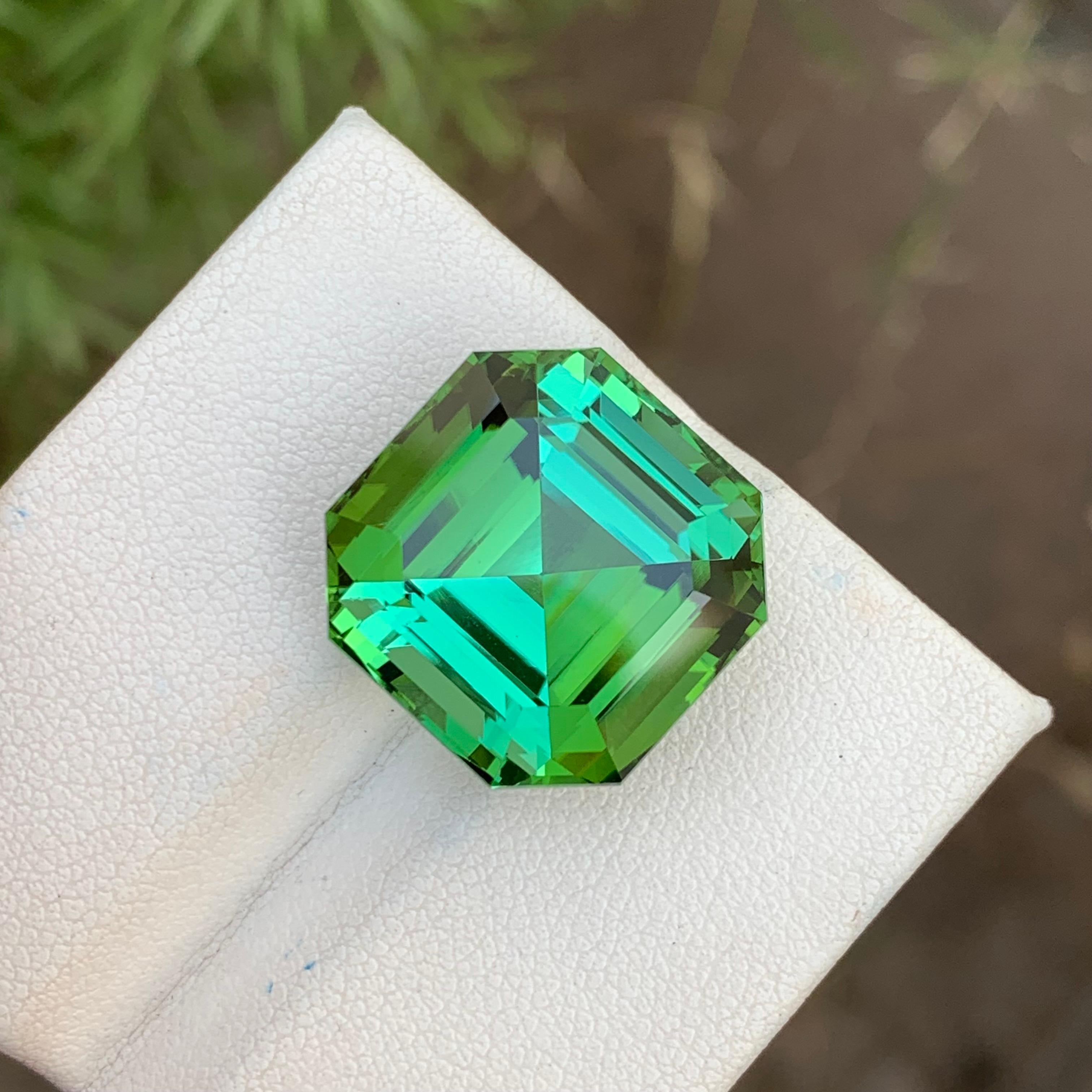 Arts and Crafts Top Quality 24.15 Carats Natural Loose Green Tourmaline Lagoon Shade Asscher Cut For Sale
