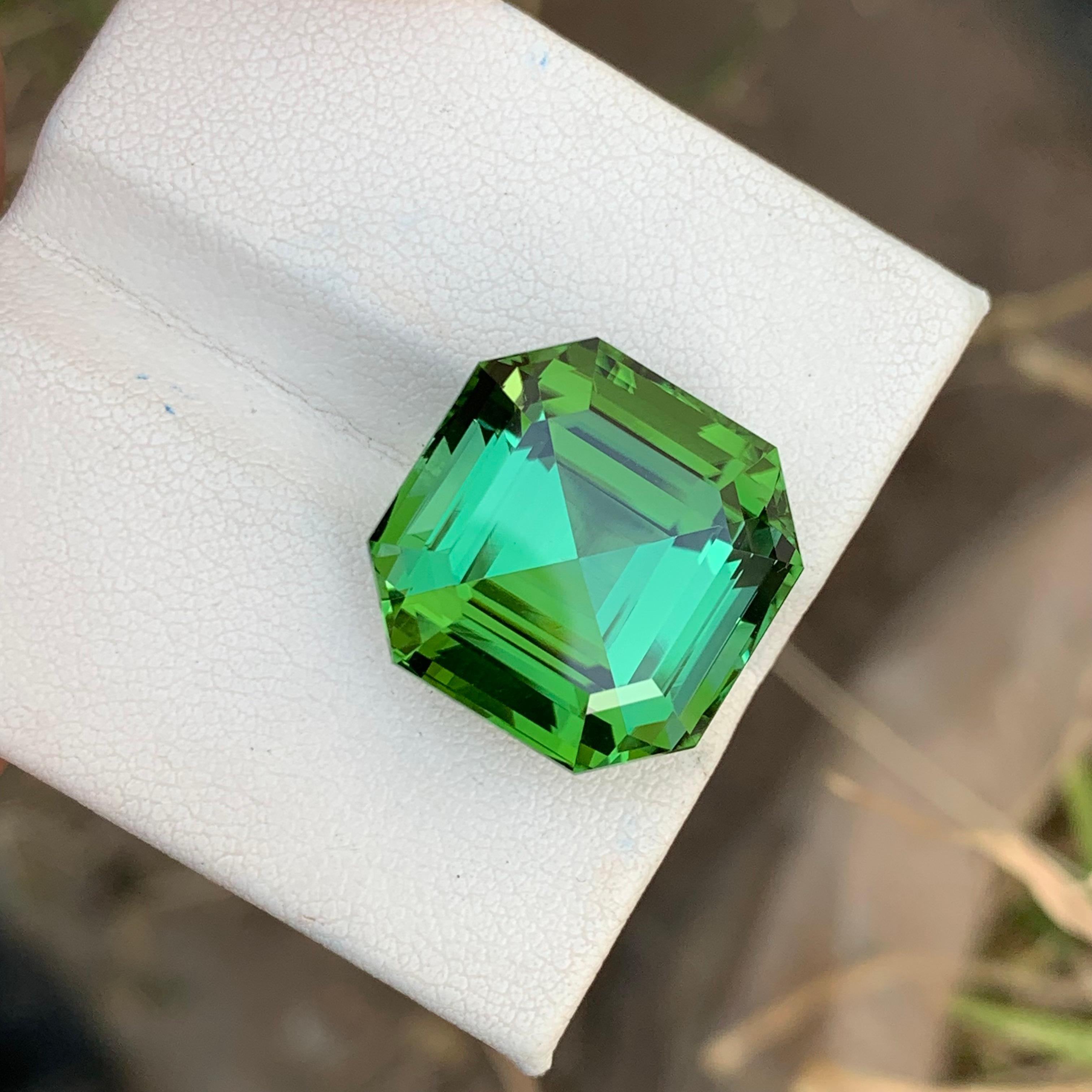 Top Quality 24.15 Carats Natural Loose Green Tourmaline Lagoon Shade Asscher Cut In New Condition For Sale In Peshawar, PK