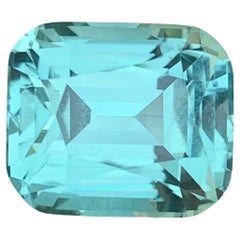 Pierre précieuse taille coussin en tourmaline naturelle de forme écume de mer non sertie de 7,40 carats