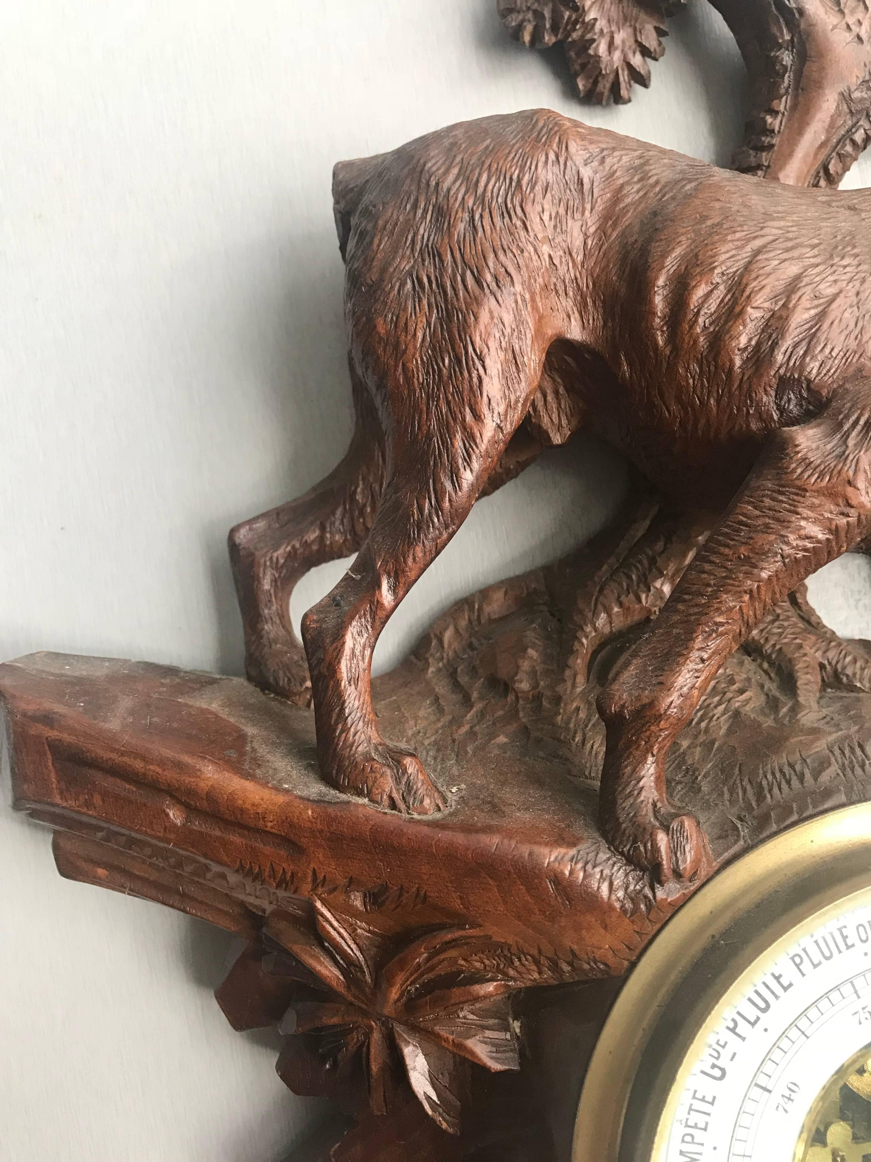 Top Quality Carved Walnut Antique Swiss Barometer Hunting Dog Hound Sculpture 9