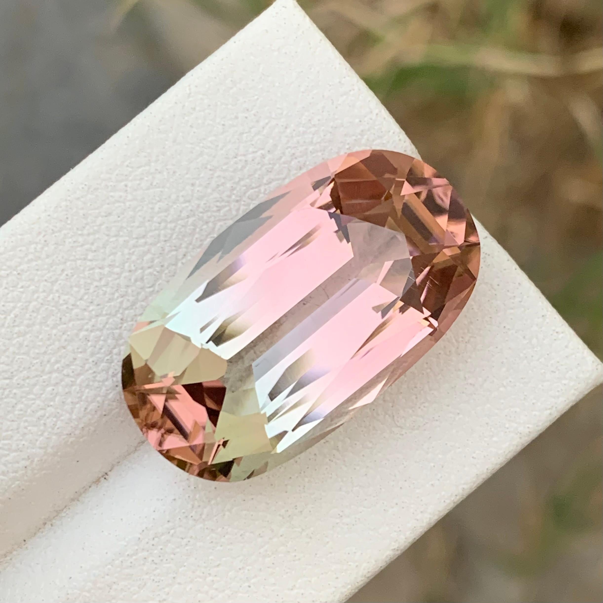 Tourmaline bicolore non sertie de 21,60 carats, mine d'Afghanistan de qualité supérieure en vente 5