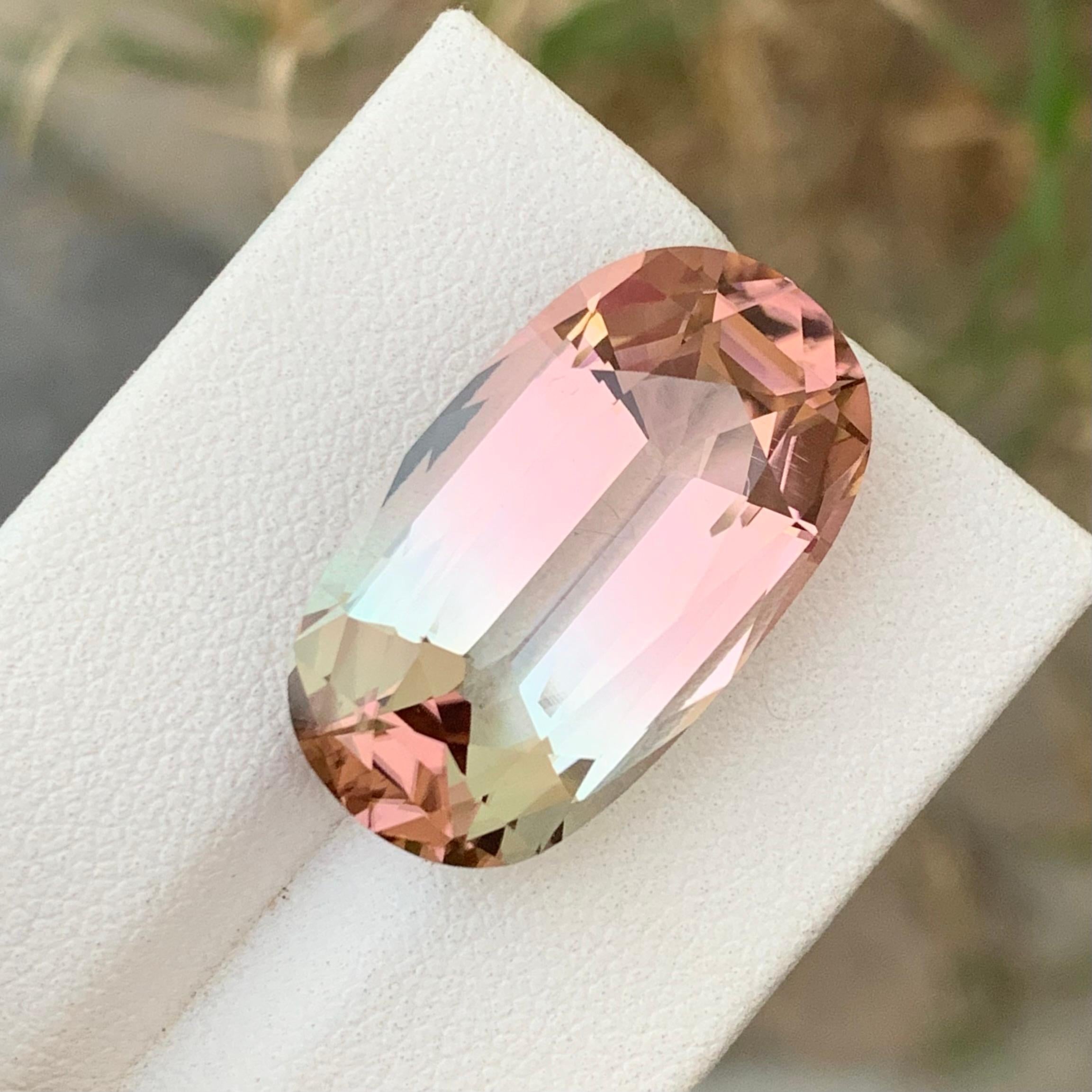 Tourmaline bicolore non sertie de 21,60 carats, mine d'Afghanistan de qualité supérieure en vente 1