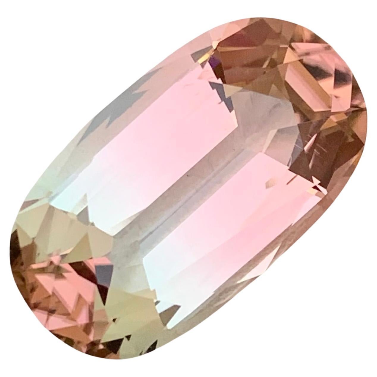 Tourmaline bicolore non sertie de 21,60 carats, mine d'Afghanistan de qualité supérieure en vente