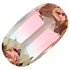 Tourmaline bicolore non sertie de 21,60 carats, mine d'Afghanistan de qualité supérieure