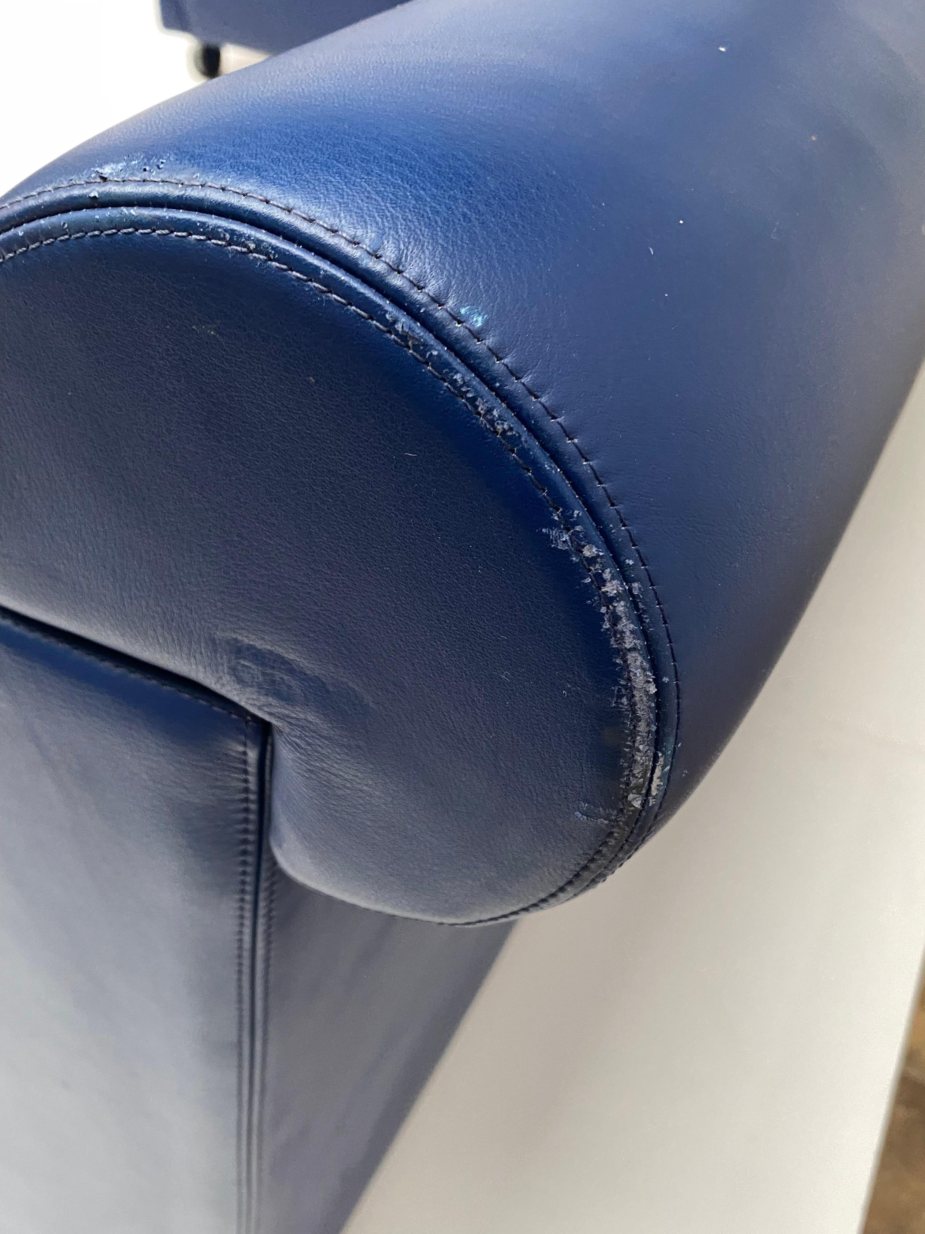 Top Quality Leather Easy Chair + Sofa "Dafne" by Poltrona Frau Italy