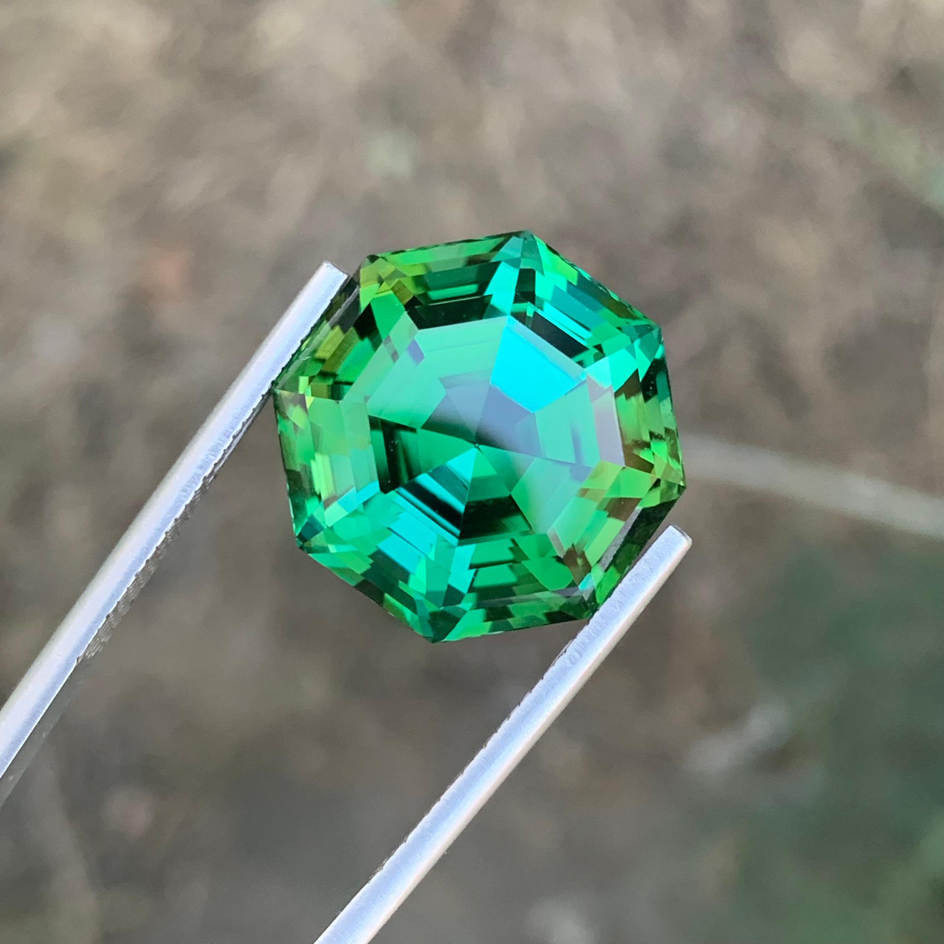 Tourmaline verte naturelle pure de 26,05 carats de qualité supérieure en vente 4