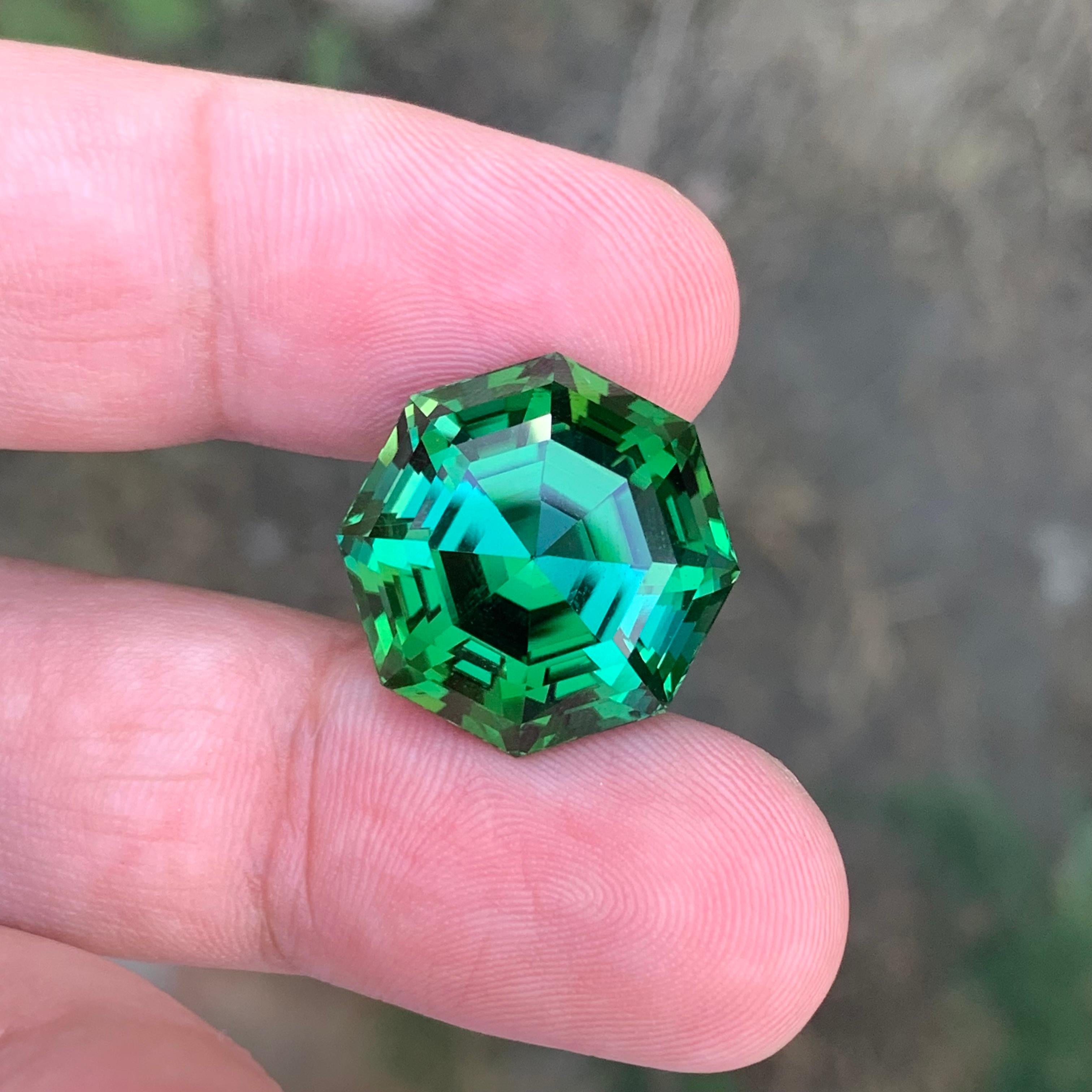 Tourmaline verte naturelle pure de 26,05 carats de qualité supérieure en vente 6