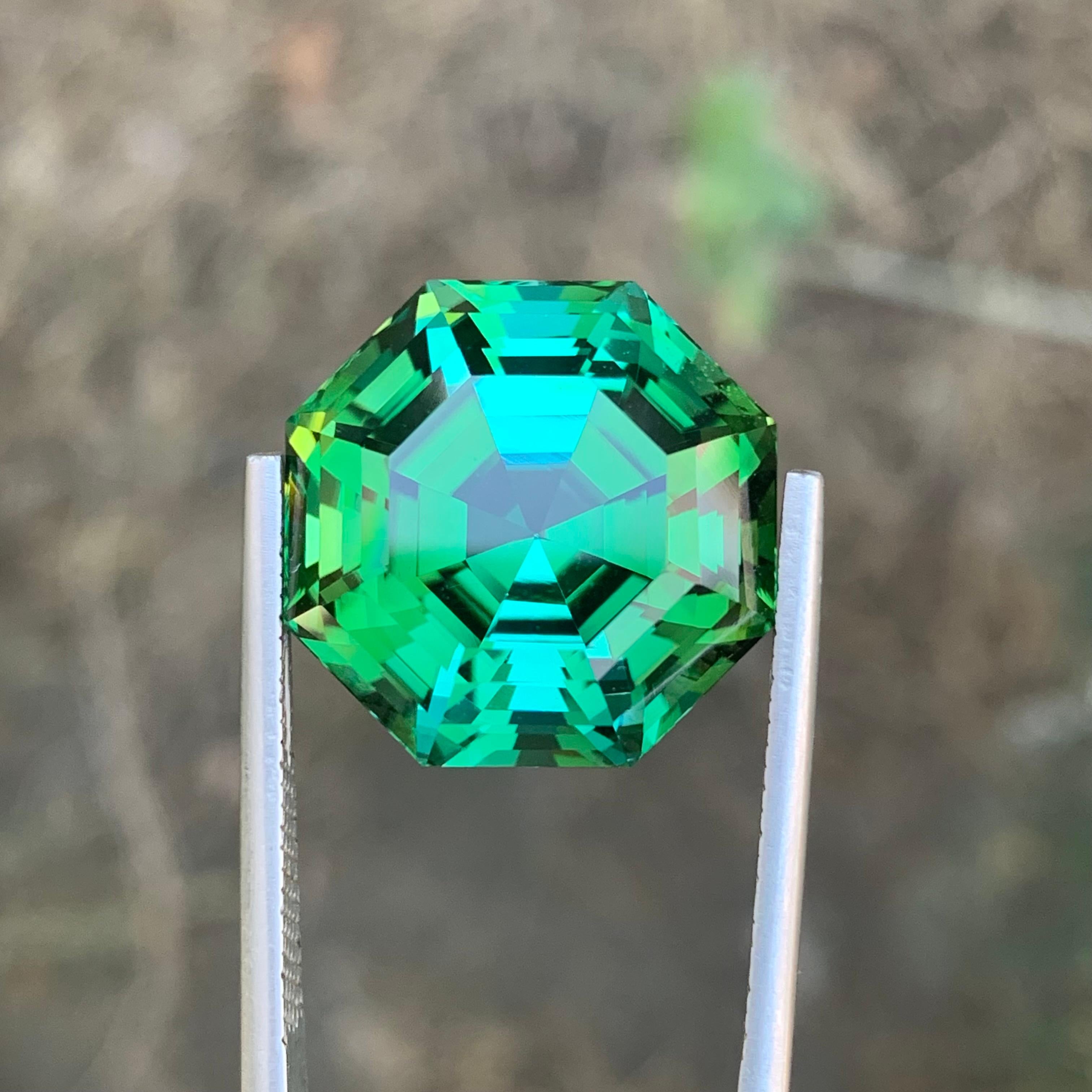 Tourmaline verte naturelle pure de 26,05 carats de qualité supérieure en vente 7
