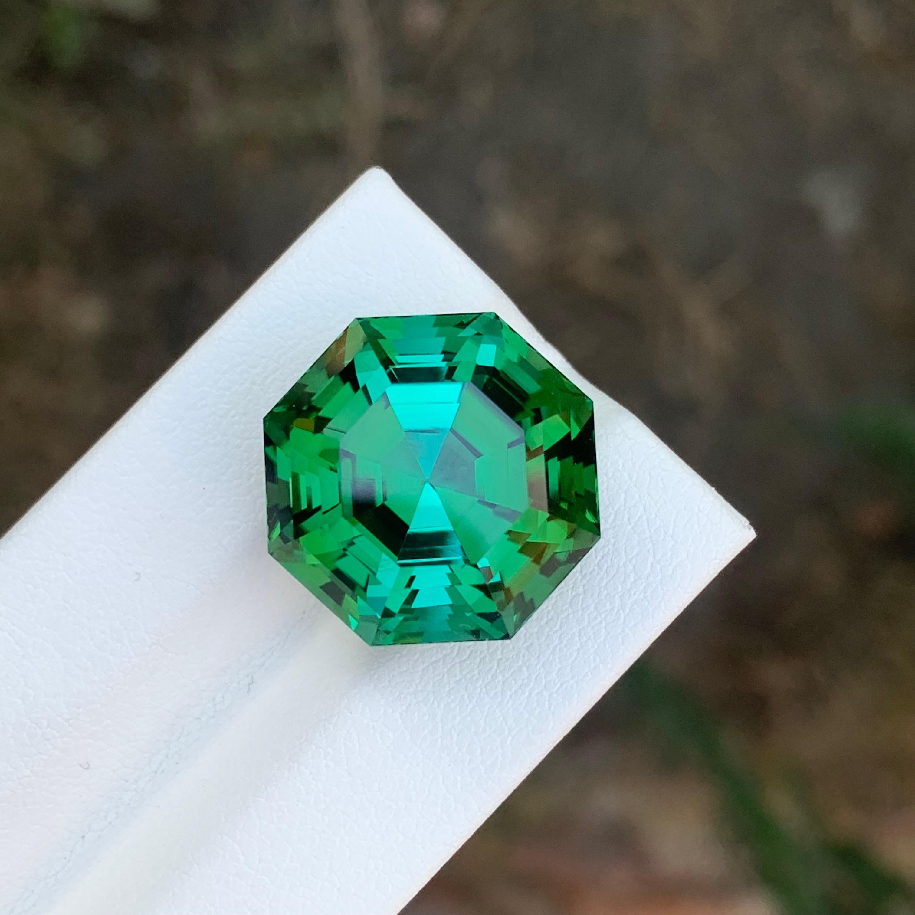 Tourmaline verte naturelle pure de 26,05 carats de qualité supérieure en vente 10