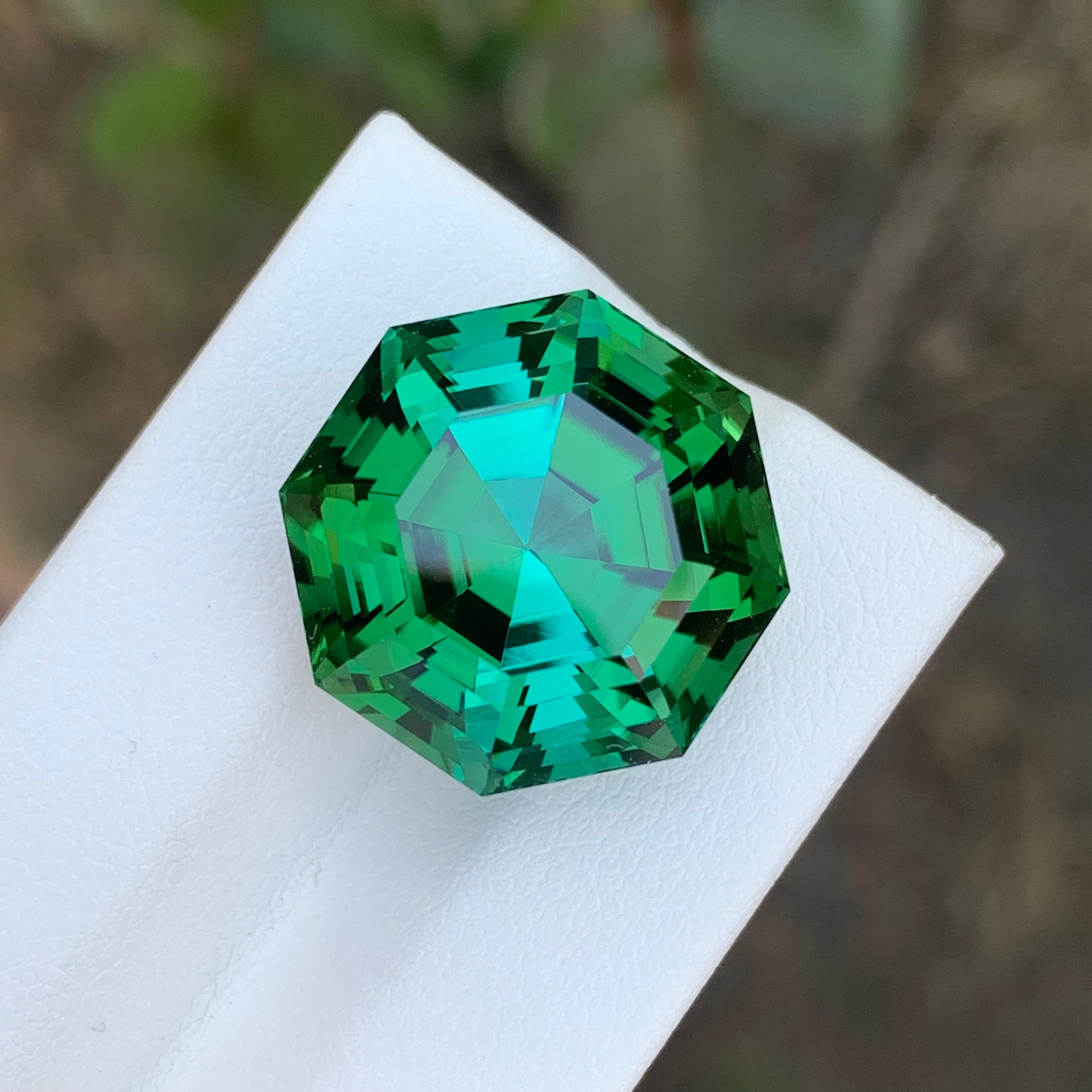 Tourmaline verte facettée

Poids : 26,05 carats
Dimension : 17,2 x 17,2 x 13,4 mm
Couleur : Vert
Traitement : Non
Certificat : Sur demande du client
Forme : Octogone
Clarté : Propre à la loupe


La tourmaline est une pierre précieuse captivante