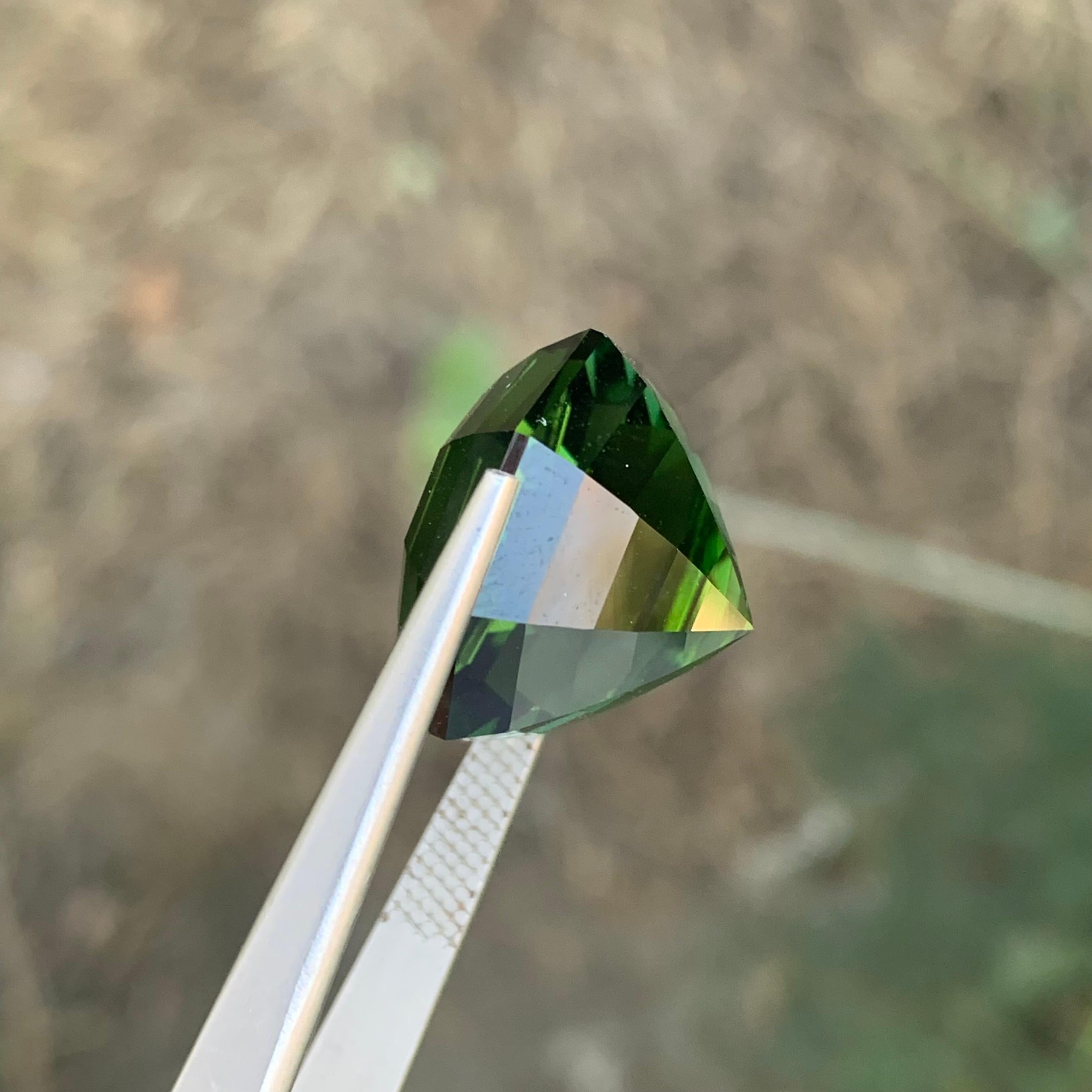 Tourmaline verte naturelle pure de 26,05 carats de qualité supérieure en vente 2