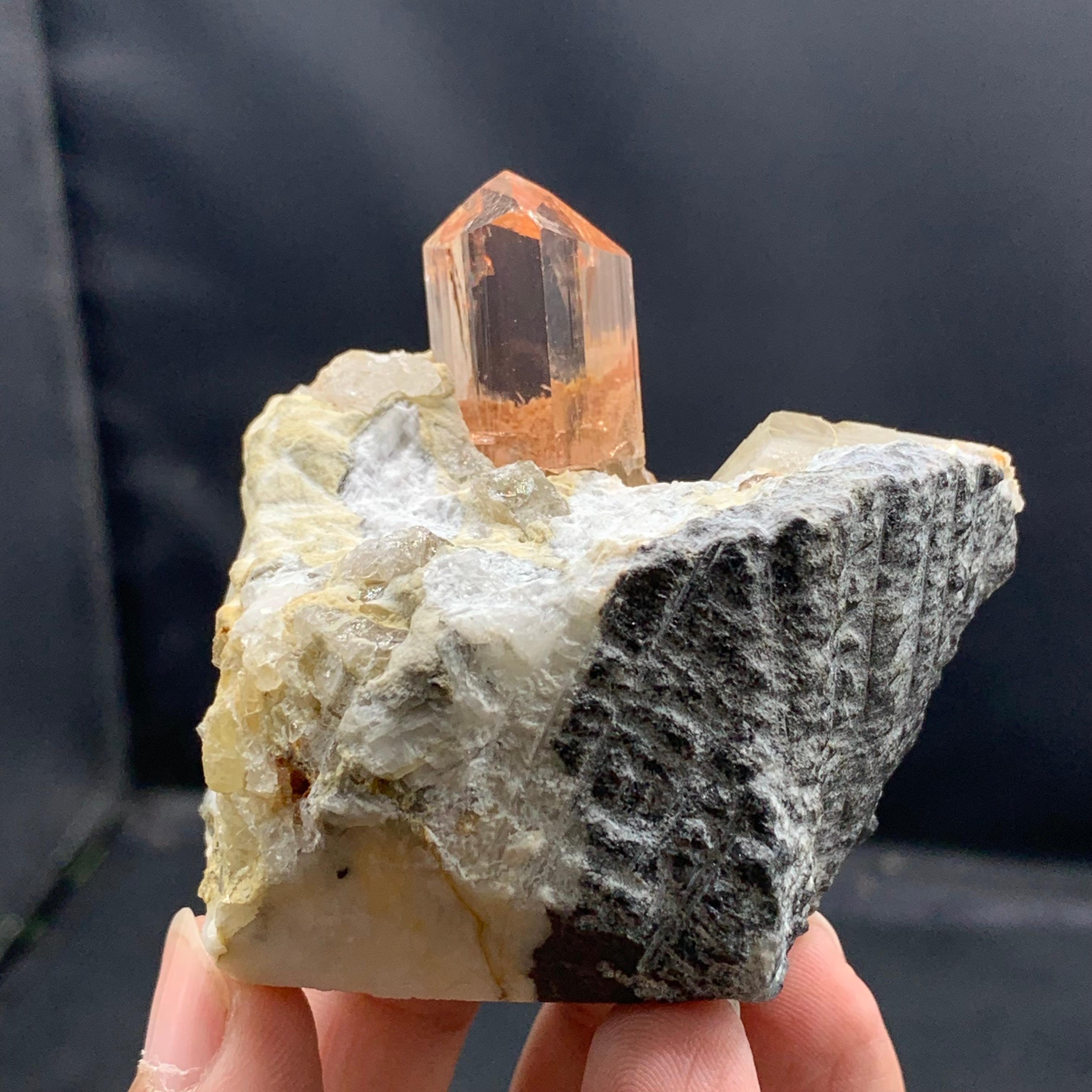 Esemplare: Cristallo di topazio su calcite
Peso: 187 grammi
Dimensioni: H: 6,5 x L: 6,2 x P: 5,2 cm
Trattamento: Nessuno
Origine: Miniera di Katlang, Distretto di Mardan, Provincia di KPK, Pakistan
.
Whiting, all'interno di un letto di calcite