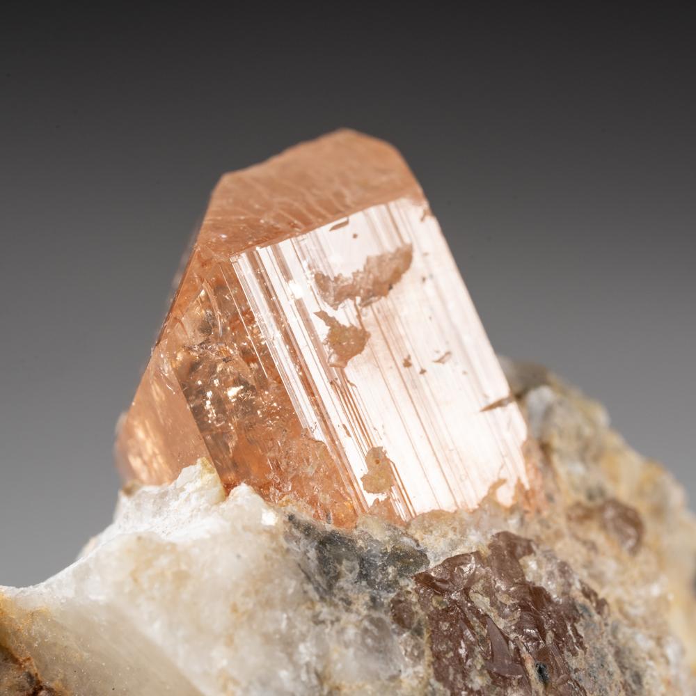 Del valle de Shigar, Skardu, Baltistán, Gilgit-Baltistán, Pakistán Lustrosos cristales completos de topacio marrón anaranjado transparente congelados en una matriz blanca circundante. Su color y claridad únicos proporcionan un aspecto opulento,