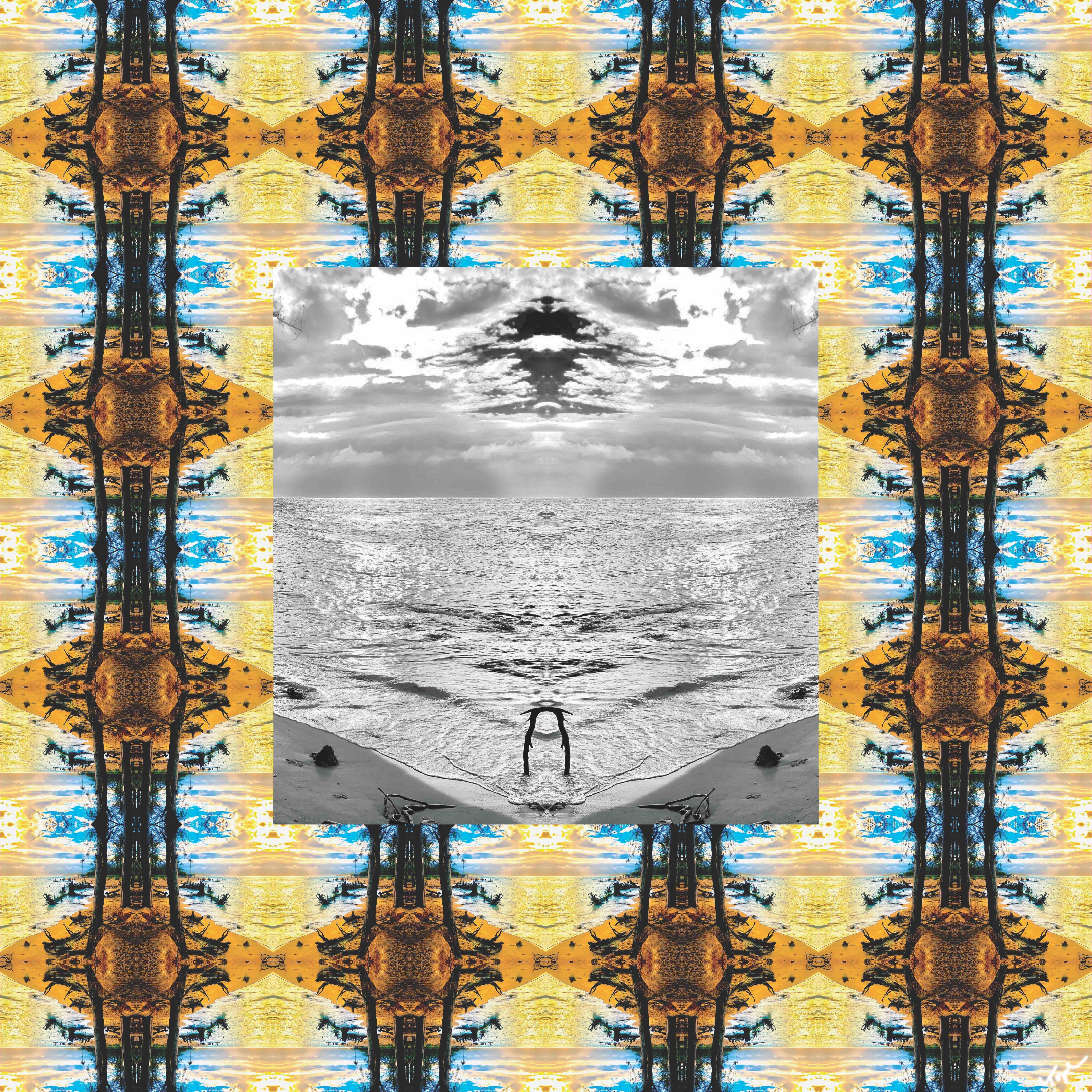 Beachtree, Contemporary Surrealist Natural Photo Collage, 2018, Original - Photograph by Topher Straus