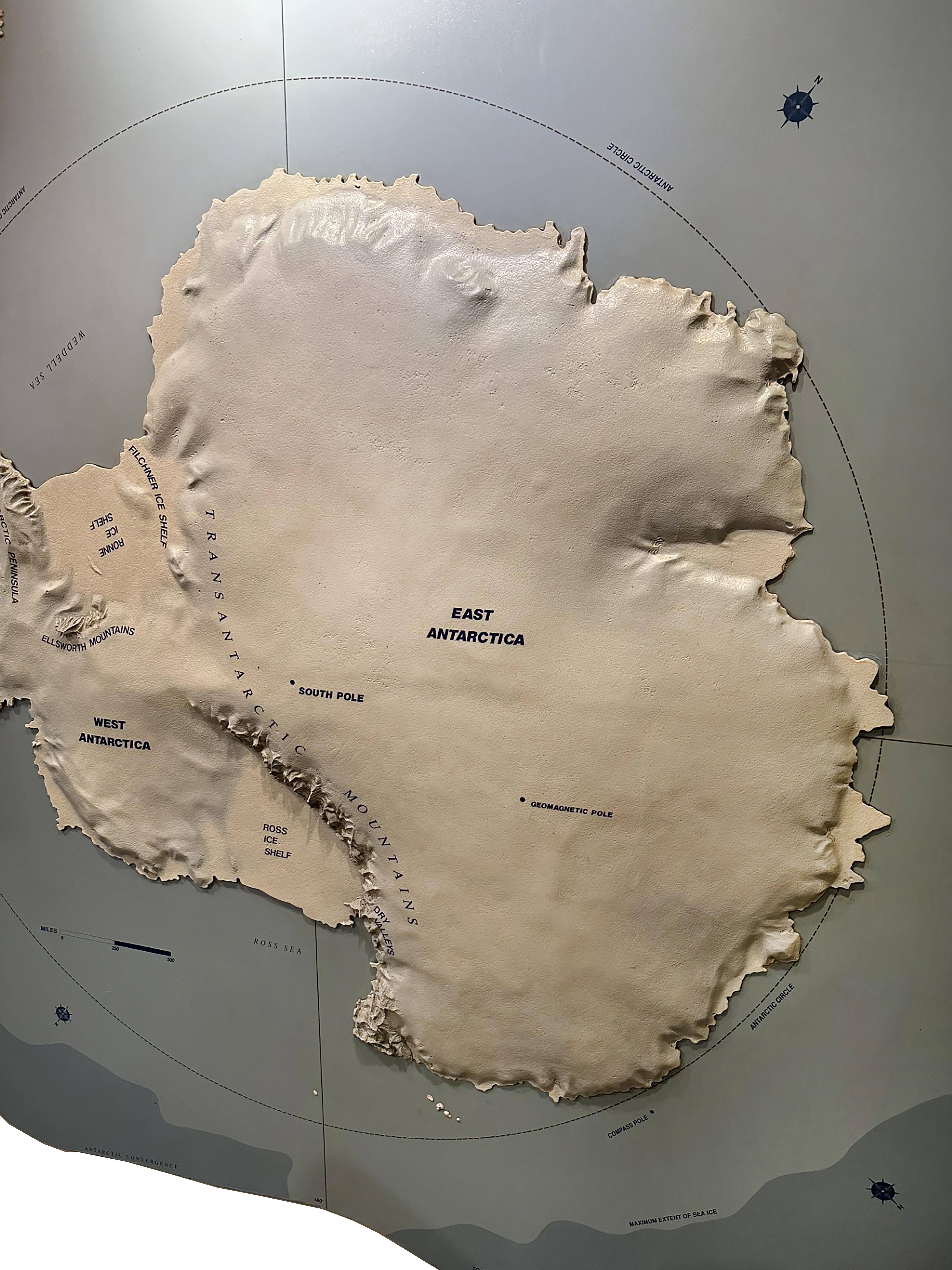 An amazing topographic wall mounted three-dimensional map of Antarctica. Midcentury. This incredible map shows off elevation, ice shelves, and scale of the continent. Some texts show off different locations and orientations. Sea depth is also