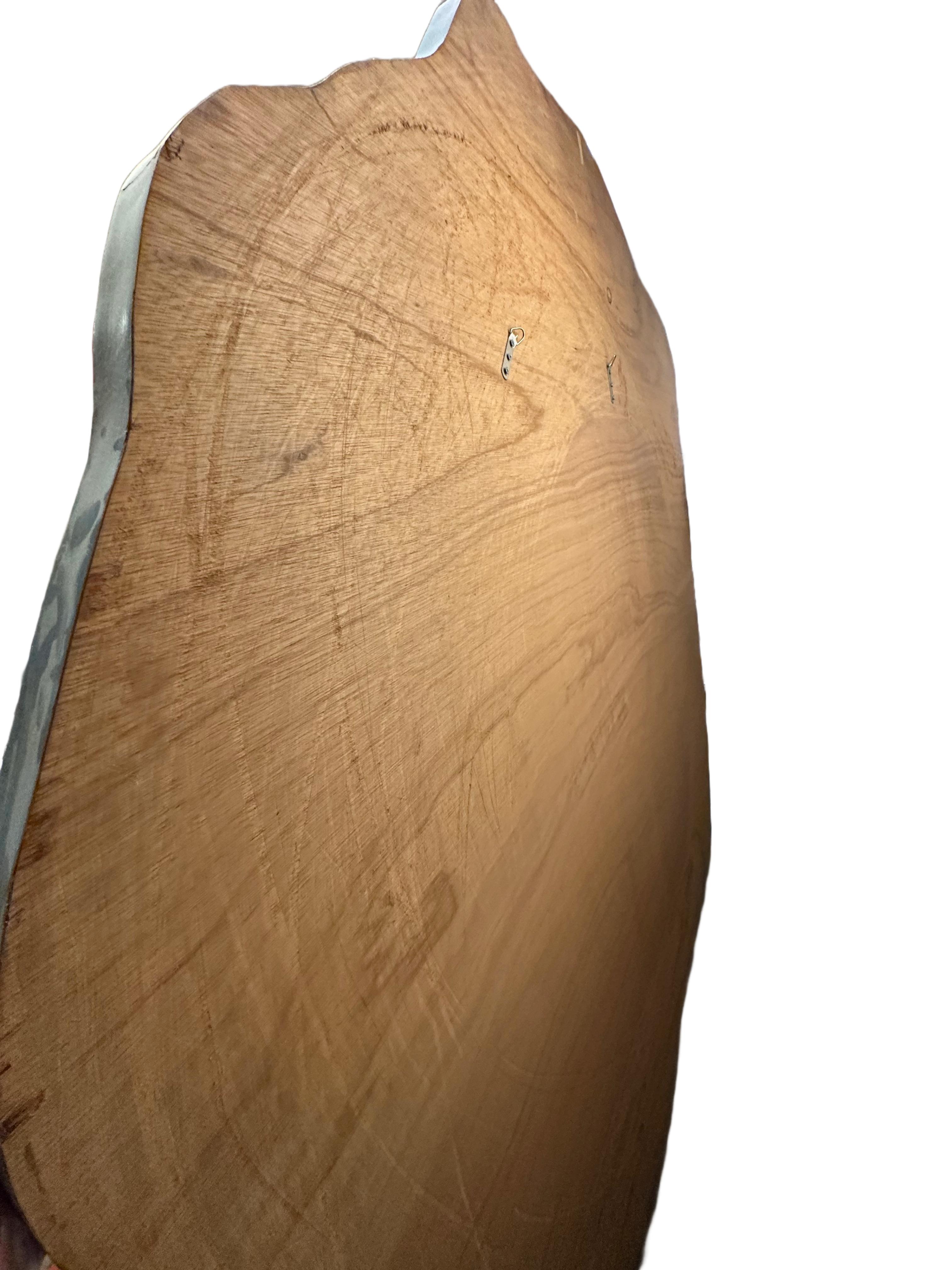 Mapa topográfico en relieve tridimensional de la Antártida en venta 2