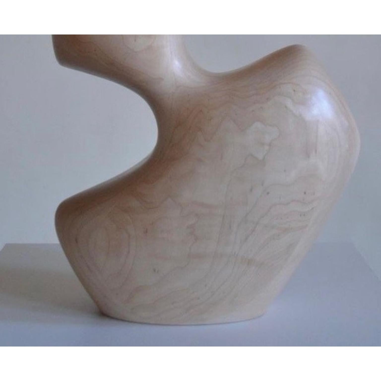 Other Topography Gen I Sculpture by Chandler McLellan For Sale