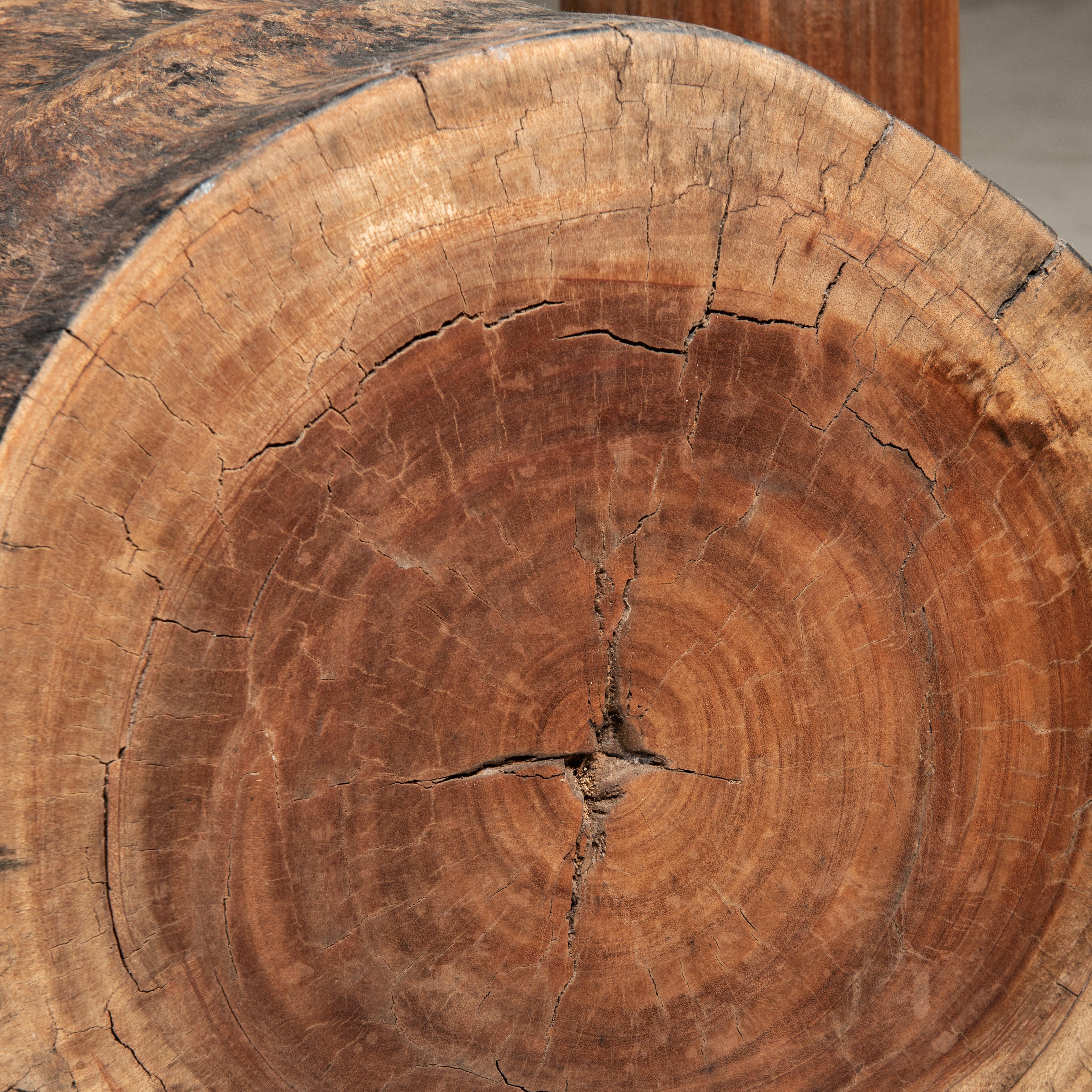 'Tora' Bench in Solid Wood, by Zanini de Zanine, Contemporary Brazilian Design  For Sale 1