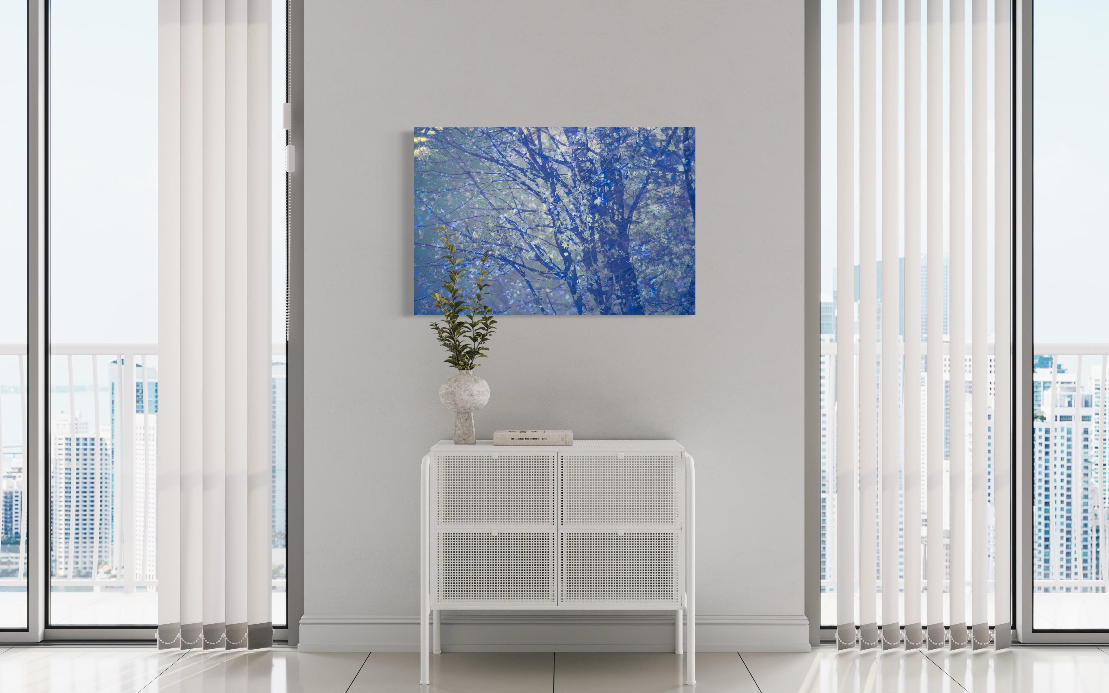 This abstract photograph by Tori Gagne features a cool blue palette with an abstracted view of tree branches. An edition size of 50, this photograph is available as a metal sublimation print with a 1.3” deep silver flush mount frame and white gloss