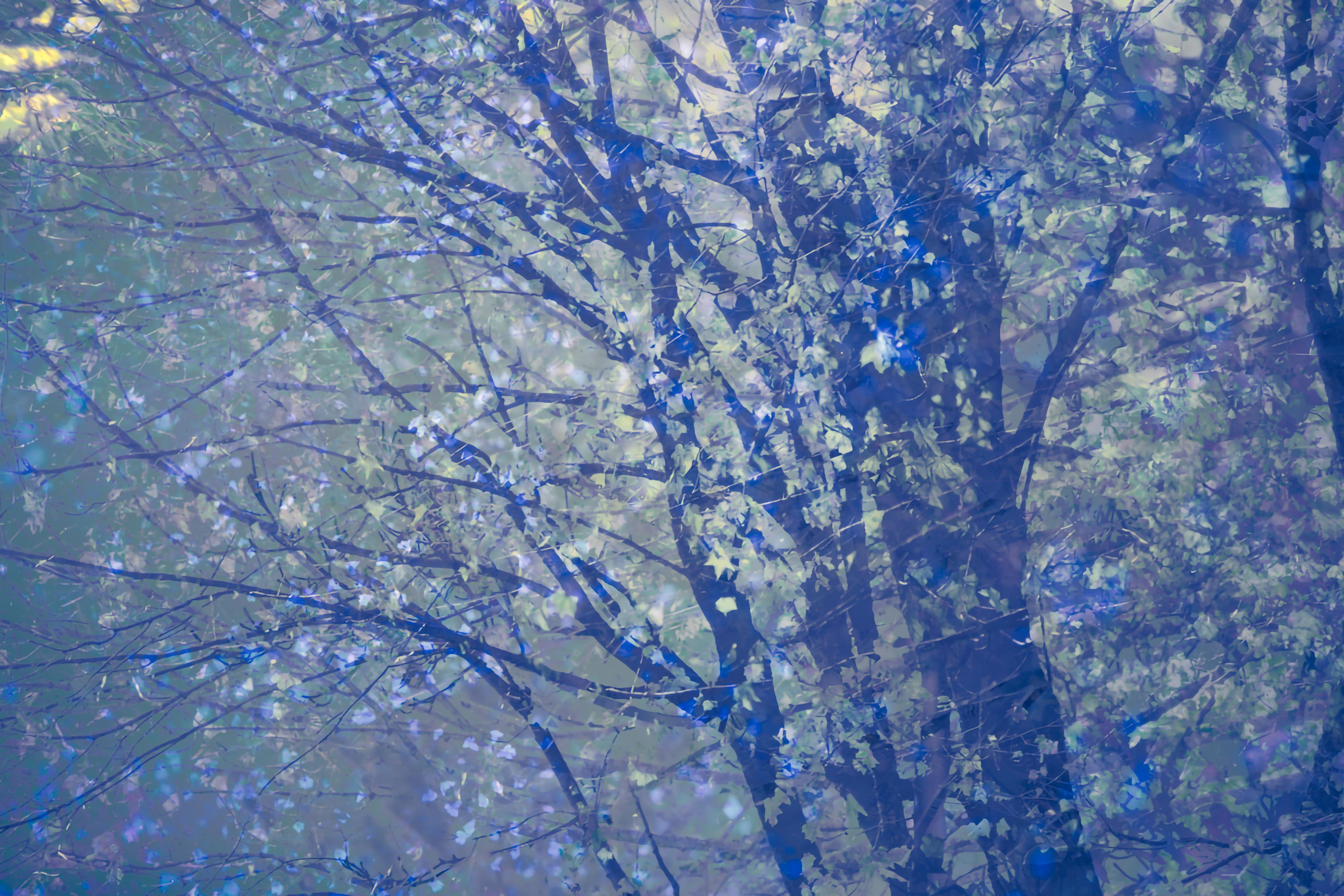 Tori Gagne Abstract Photograph - "Blue" Abstract Nature Photograph, 16" x 24"
