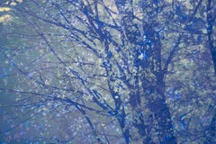 Photographie de nature abstraite bleue, 38 po. x 57 po.