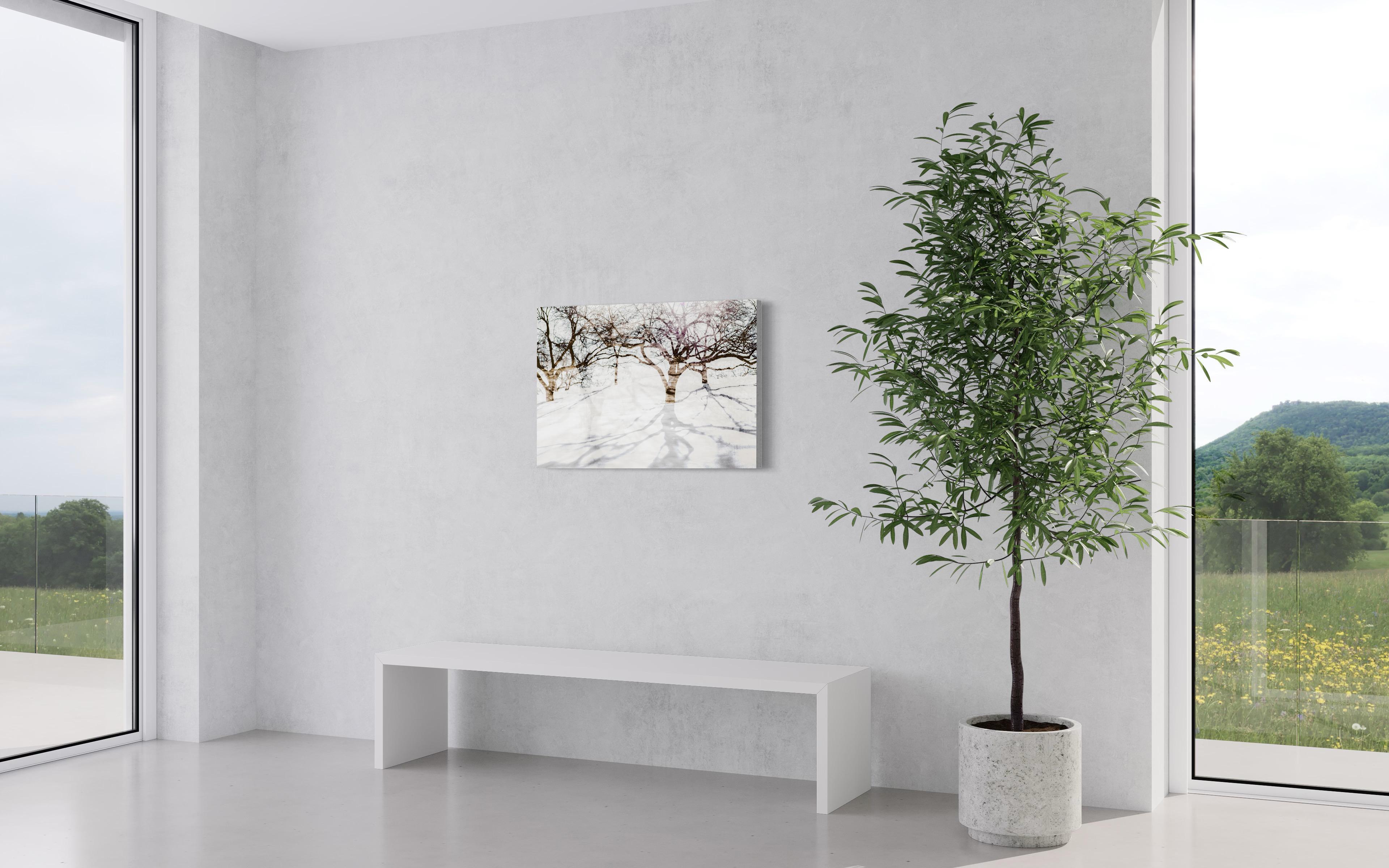This abstracted landscape photograph by Tori Gagne captures an abstracted view of trees and features a white and brown umber palette. An edition size of 50, this photograph is available as a metal sublimation print with a 1.3” deep silver flush