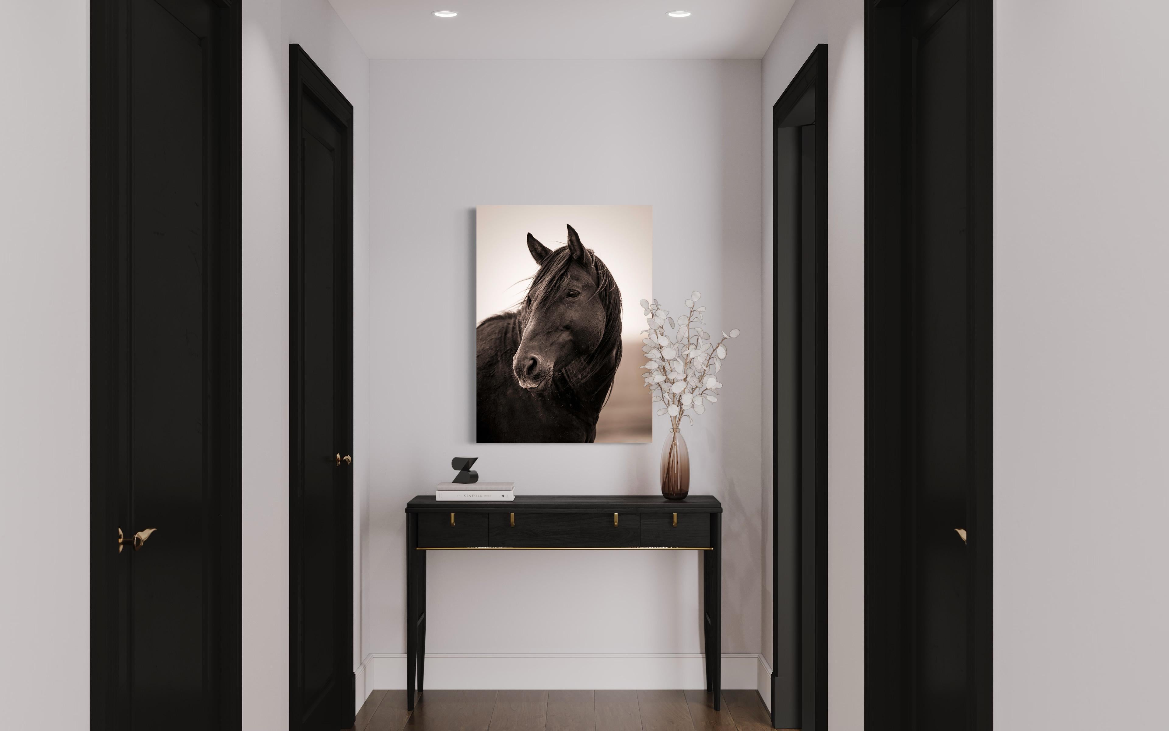 This black and white contemporary photograph by Tori Gagne captures a close-up view of a wild horse. An edition size of 25, this photograph is available as a metal sublimation print with a 1.3” deep silver flush mount frame and white gloss or satin
