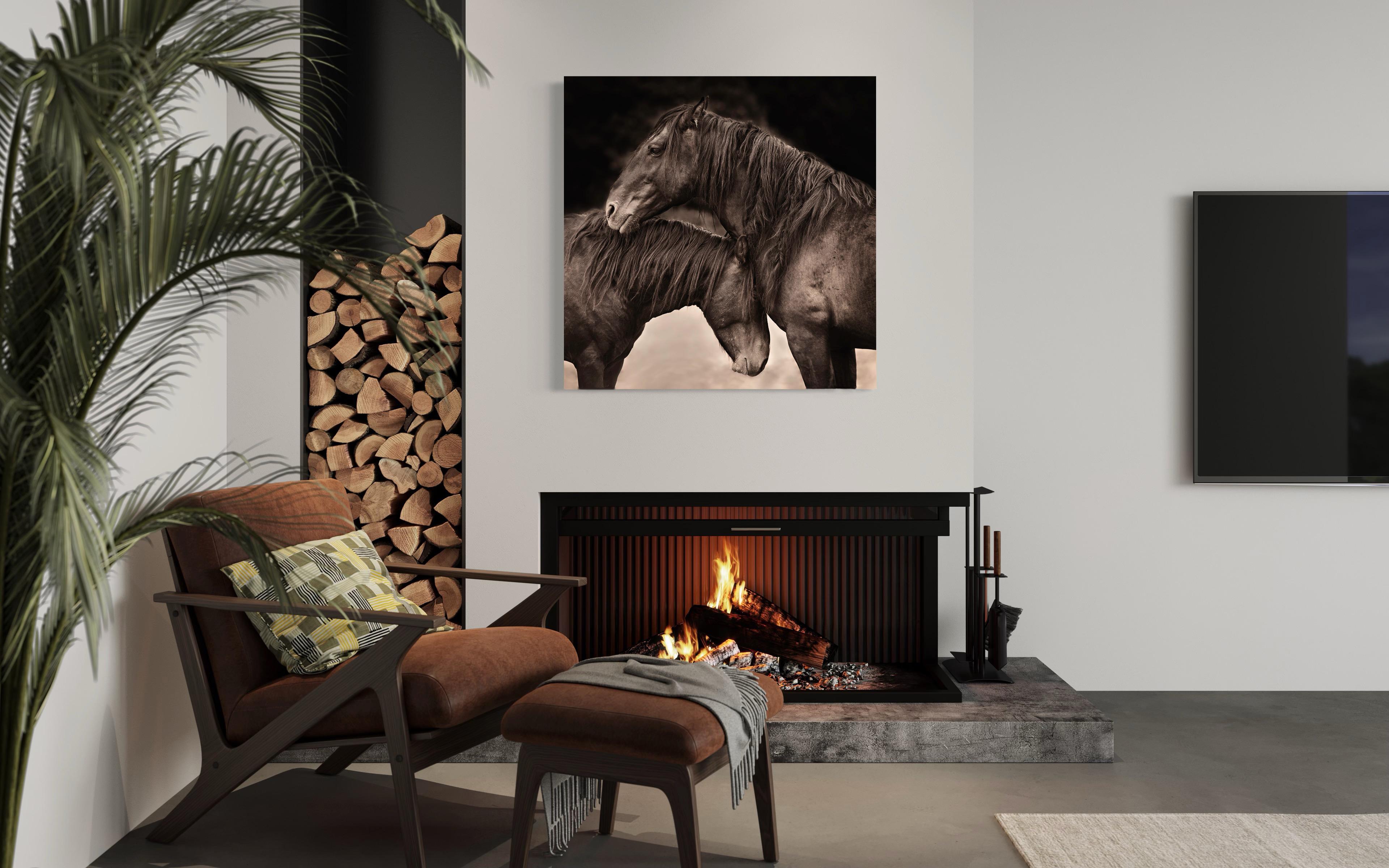 This black and white contemporary photograph by Tori Gagne captures a close-up view of two wild horses embracing. An edition size of 50, this photograph is available as a metal sublimation print with a 1.3” deep silver flush mount frame and white