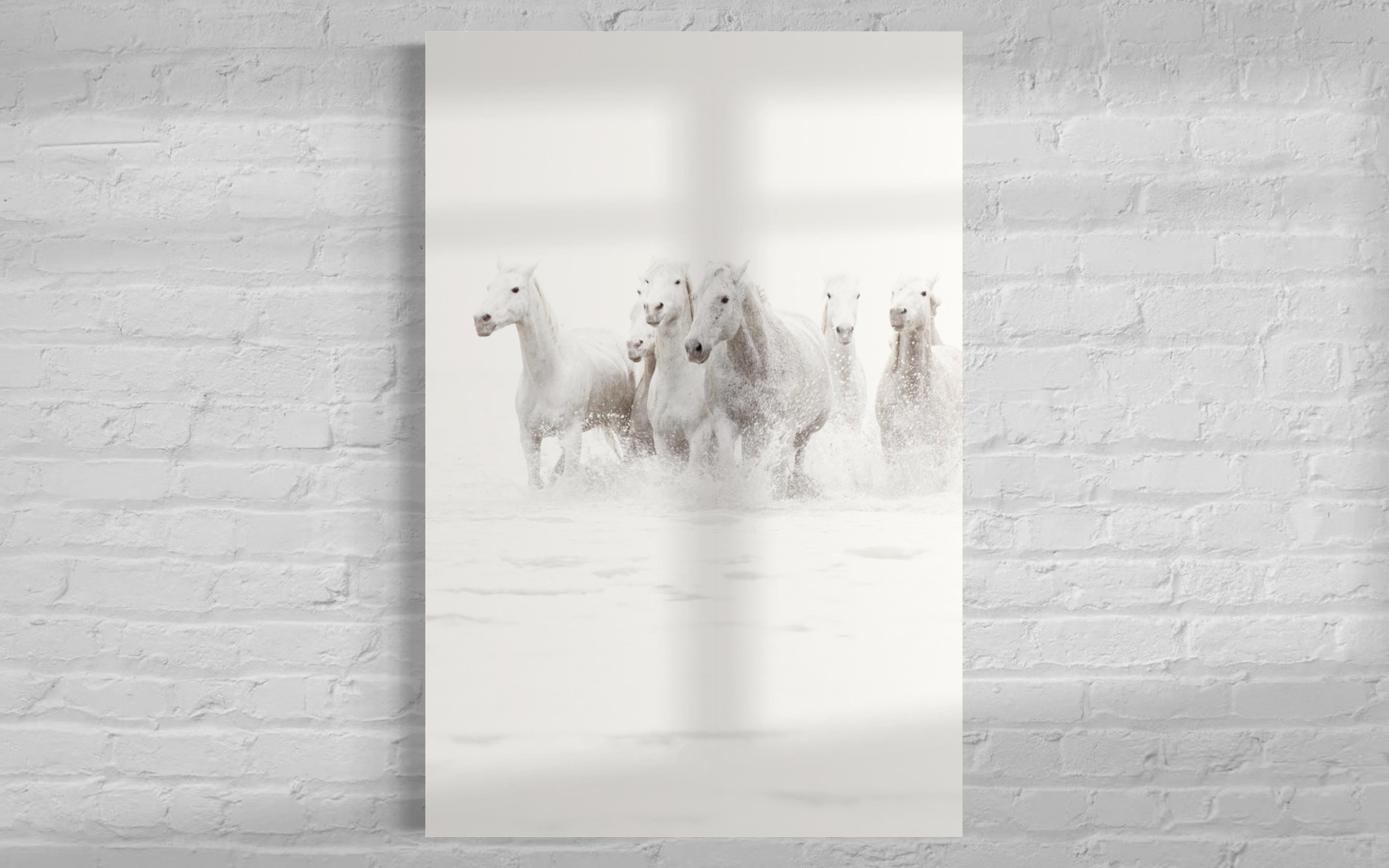 This contemporary black and white photograph by Tori Gagne captures a band of white horses running through water. An edition size of 50, this photograph is available as a metal sublimation print with a 1.3” deep silver flush mount frame and white