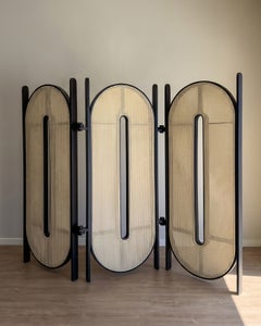 Tori – Handcrafted Black Wood Screen with Natural Cane Webbing