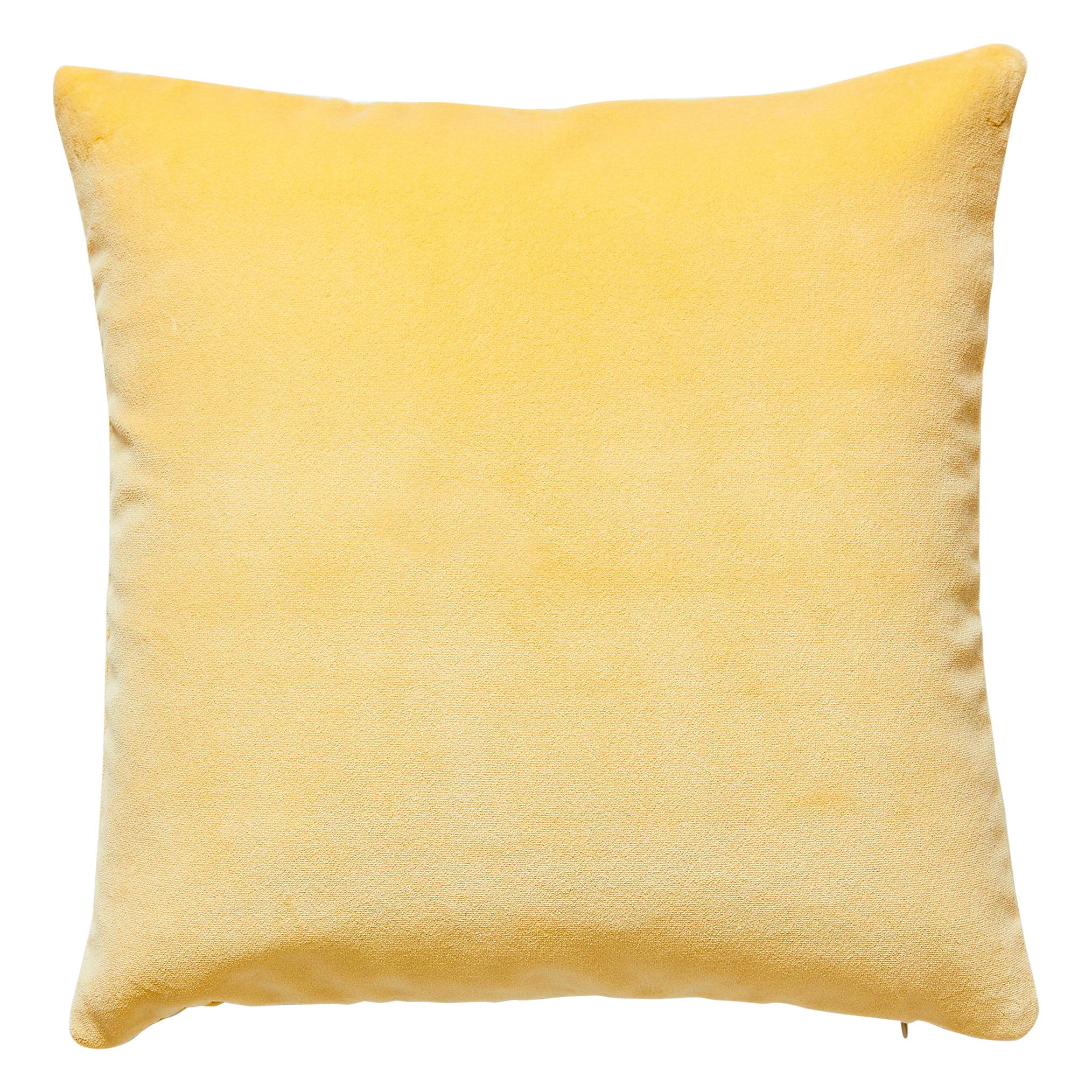 Coussin en velours Torino