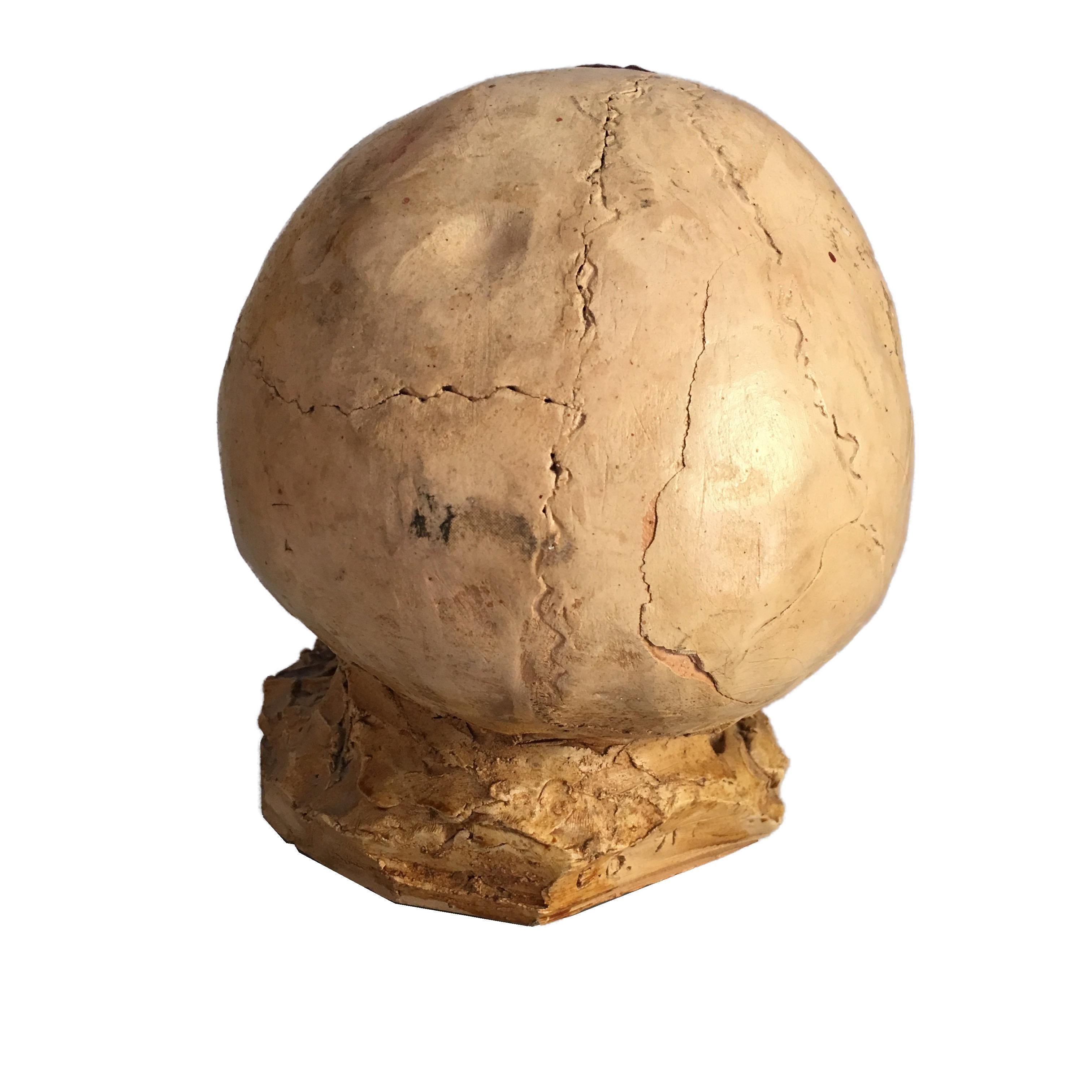 Gewehrter menschlicher Kopf Skulptur im brutalistischen Stil Signiert E.D. 71 im Zustand „Gut“ im Angebot in Rome, IT