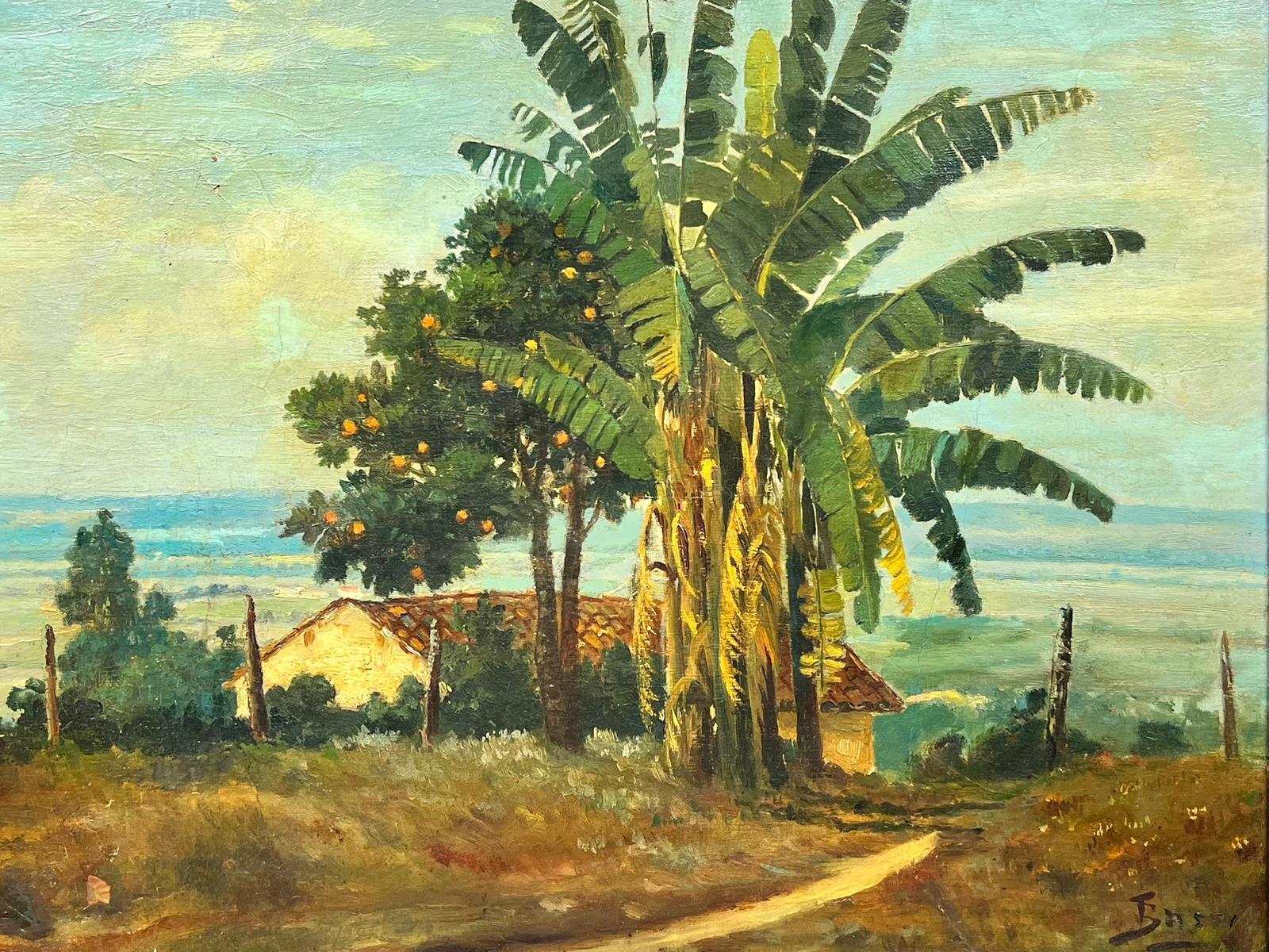 Palm Trees on the Coast, peinture d'origine signée par l'artiste brésilien - Painting de Torquato Bassi