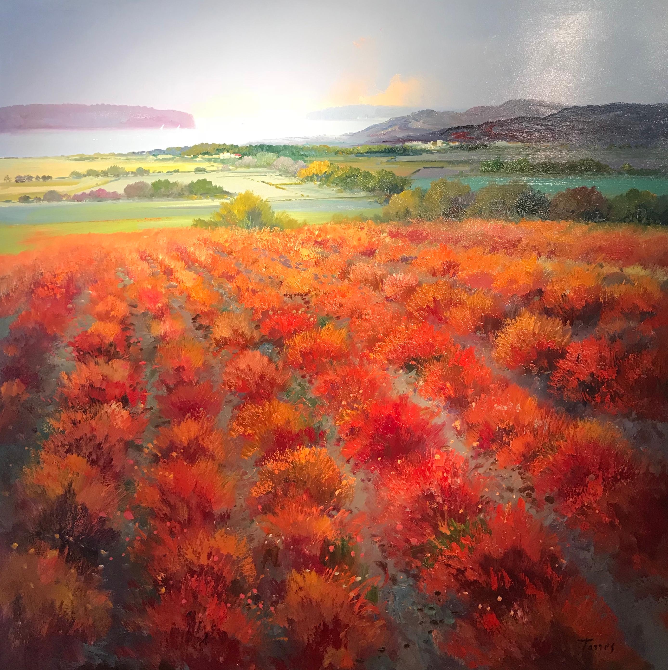'Red Fields' by Torres is a stunning rural landscape with rolling hills down to the sea. The beautiful vivid colour palette of the foreground is strong and makes for a composition that is fiery and bold. A huge pop of red and burnt orange jump off